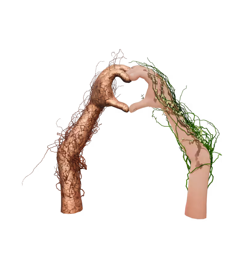 Love Hand || Love between prosperous and drought
