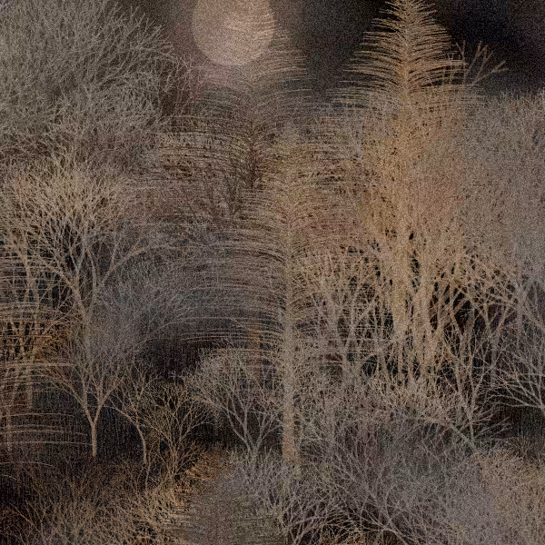 Moonlit Native Bush #20