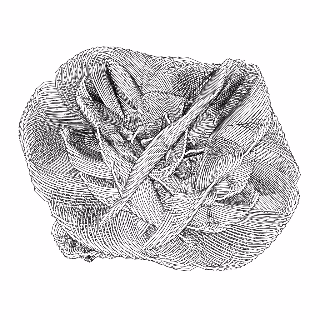 LL21 Entangled (3) #1