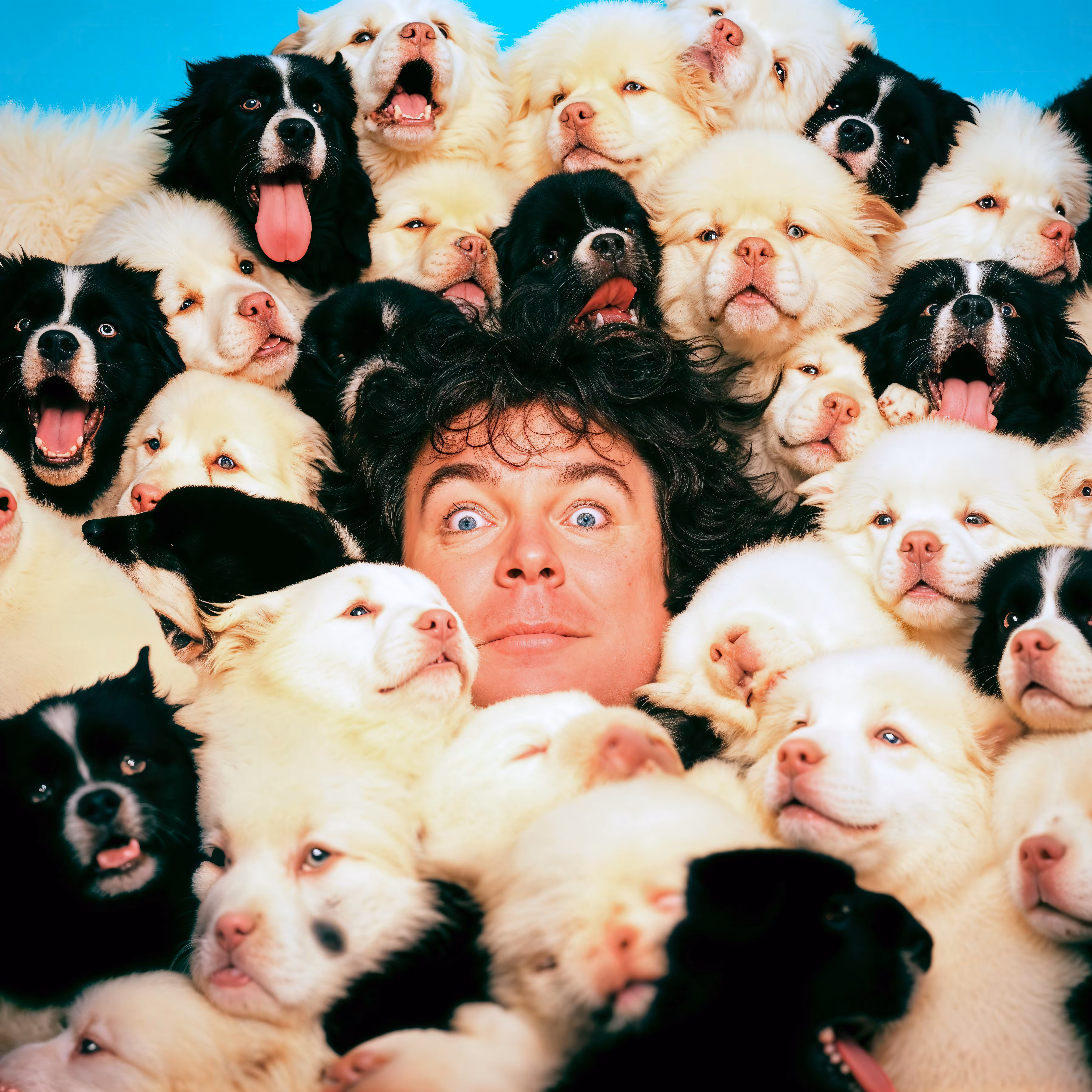 PUPPIES #47