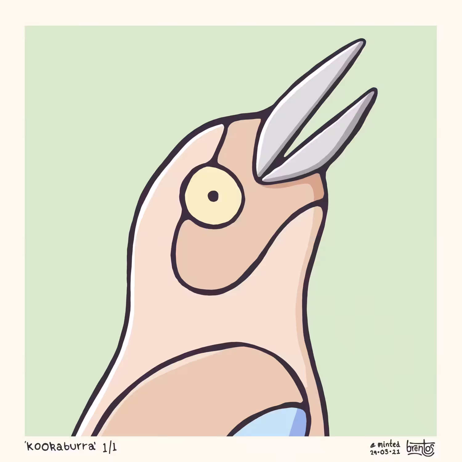 The Kookaburra