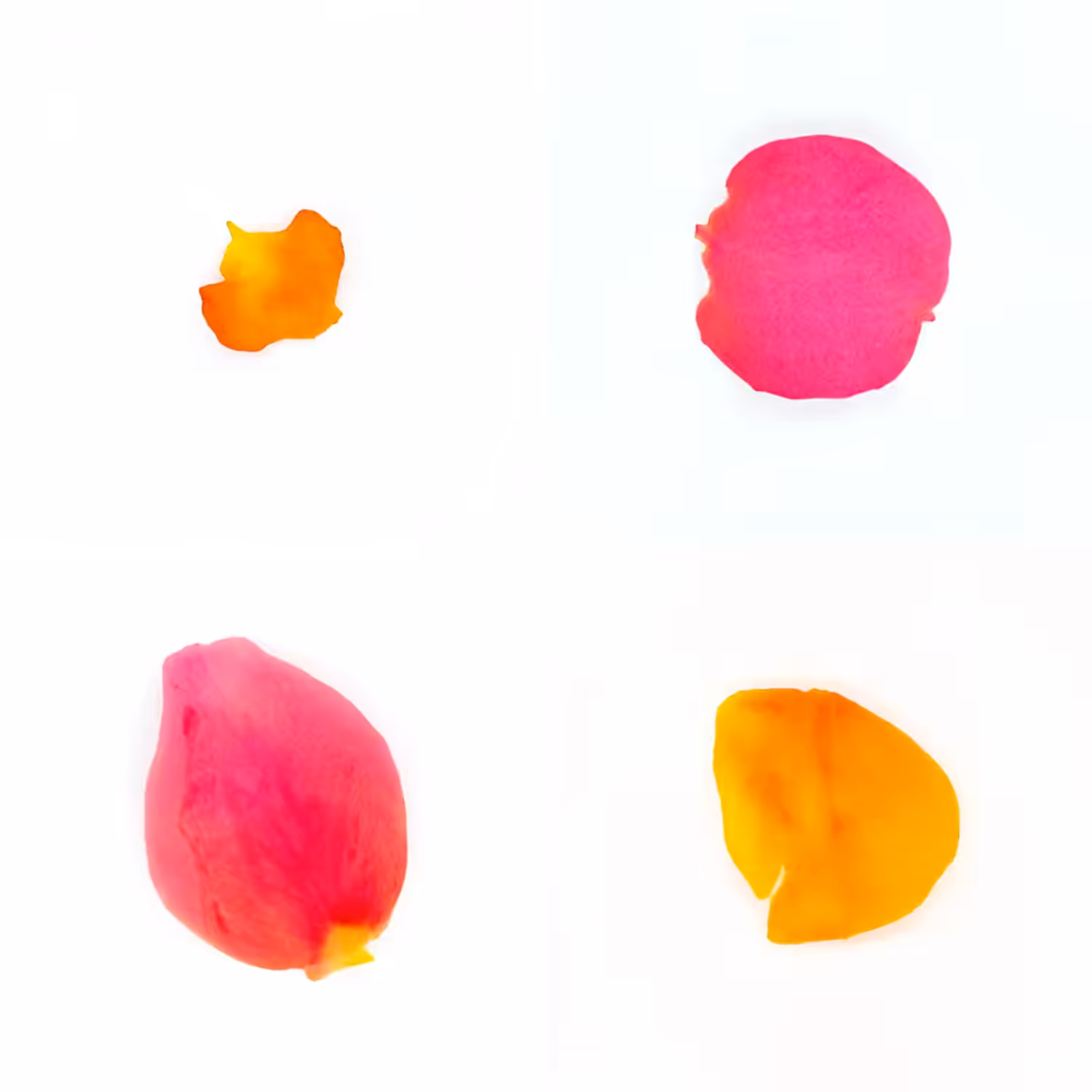 Infinite Petals 2x2#20373