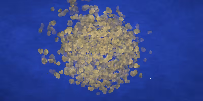 The Restoration Scheme: Reefs #22