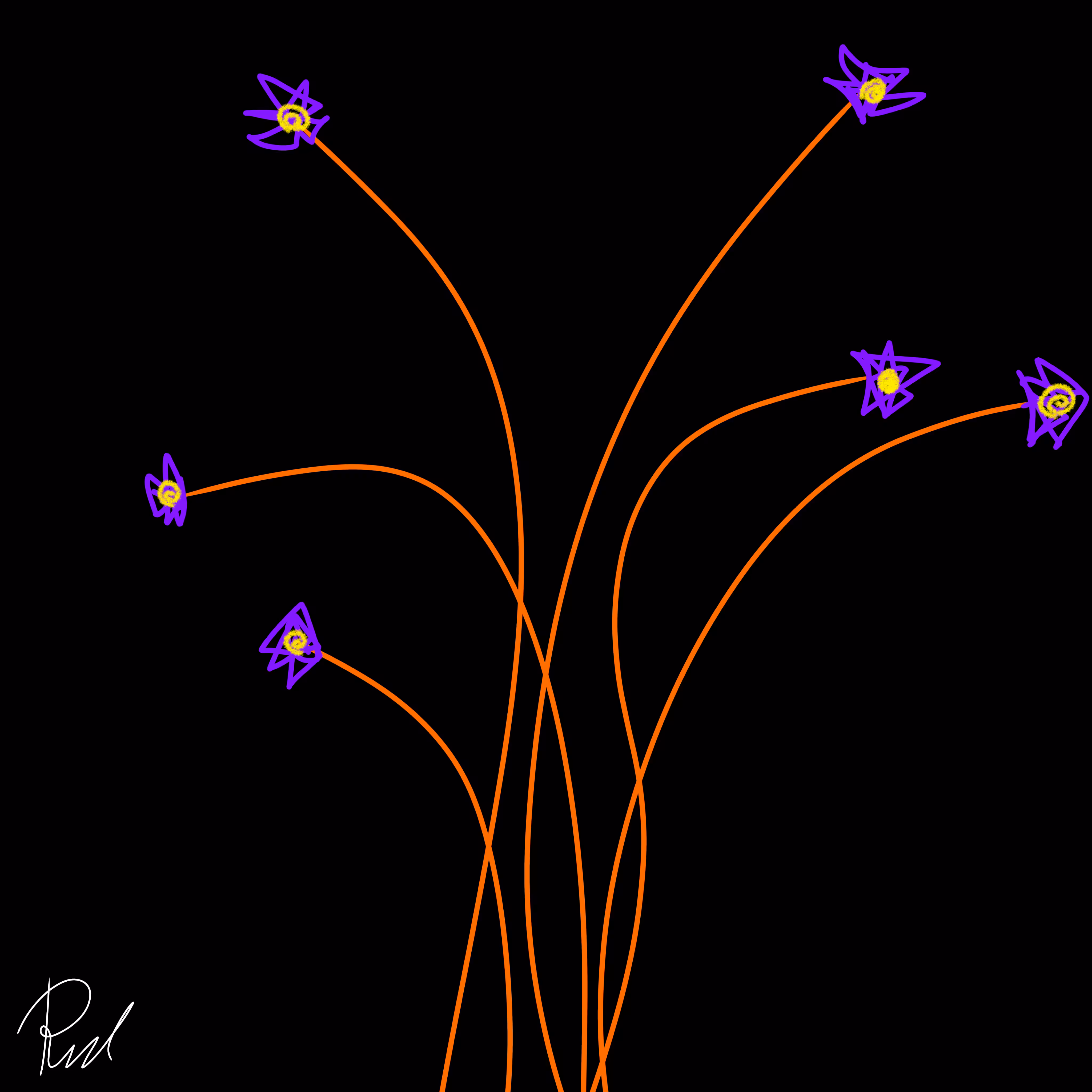 Light Between Shadows: Starlight Bloom
