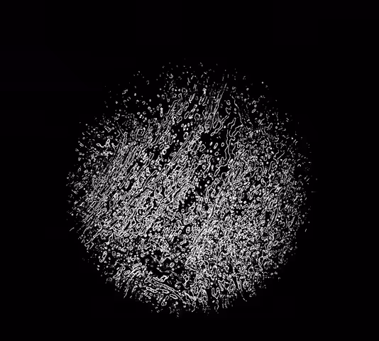 Decentralization