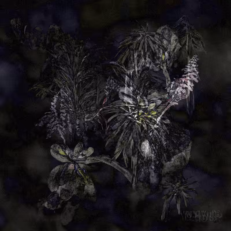 Hauntological Herbarium #10