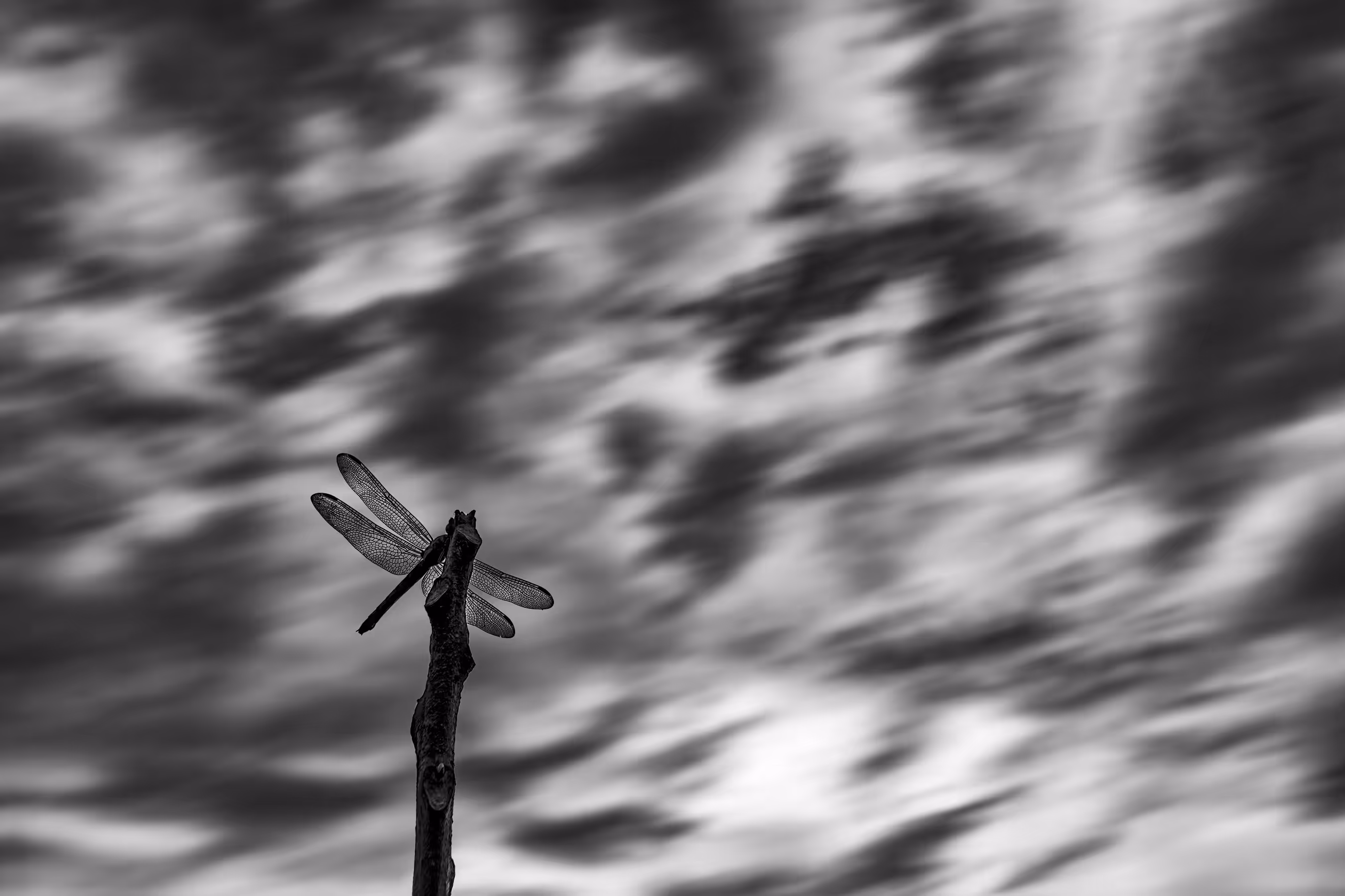 Static Dynamism