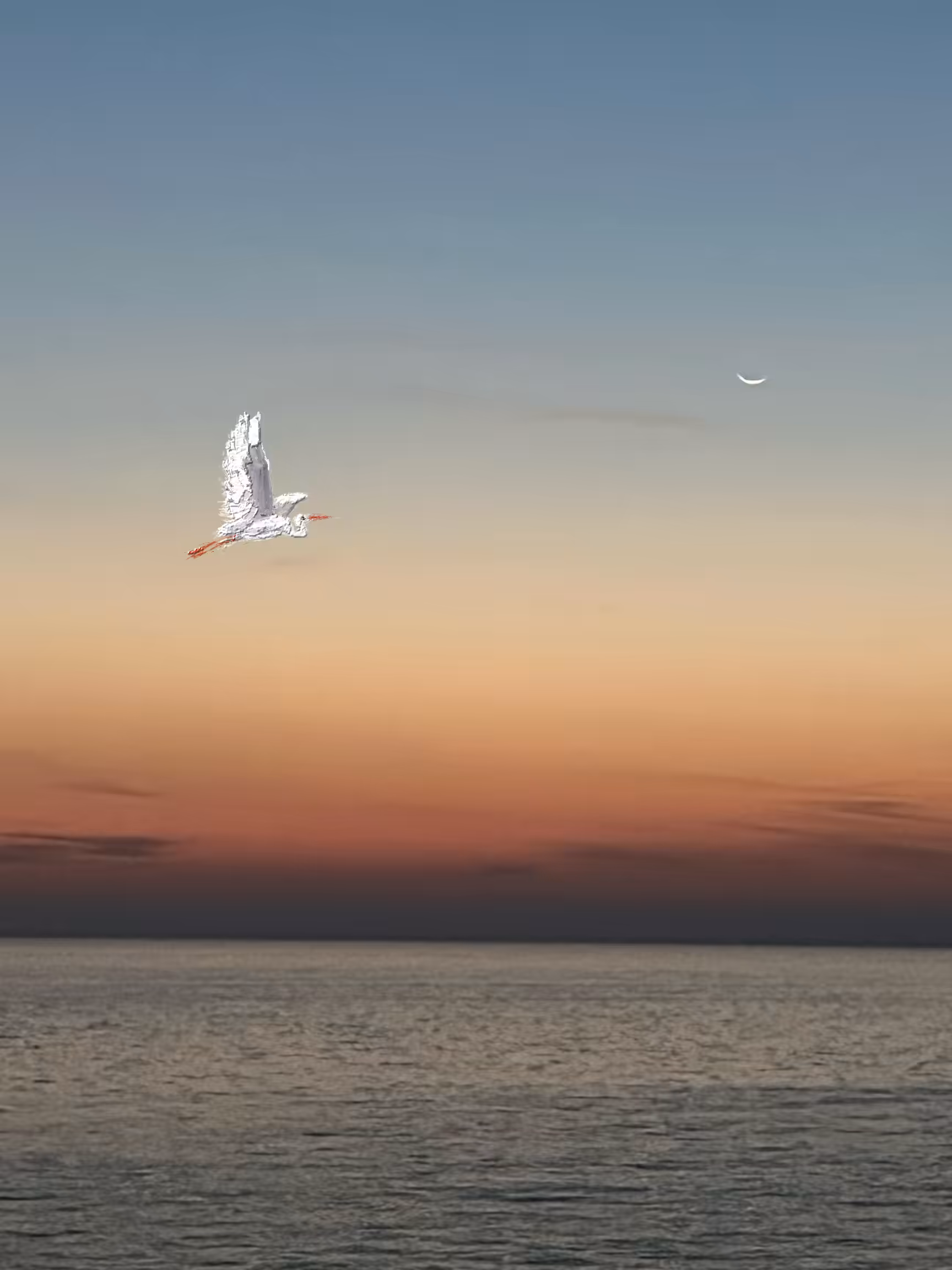 Nature Therapy : Silent Passage 