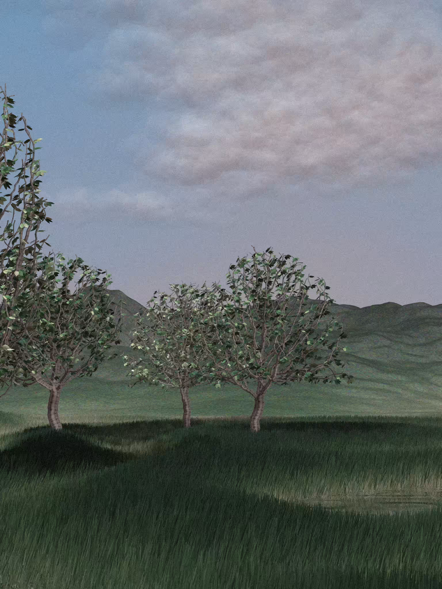 Landscapes out of my mind #53