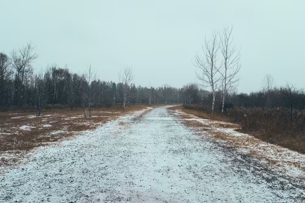 Lonely Trail