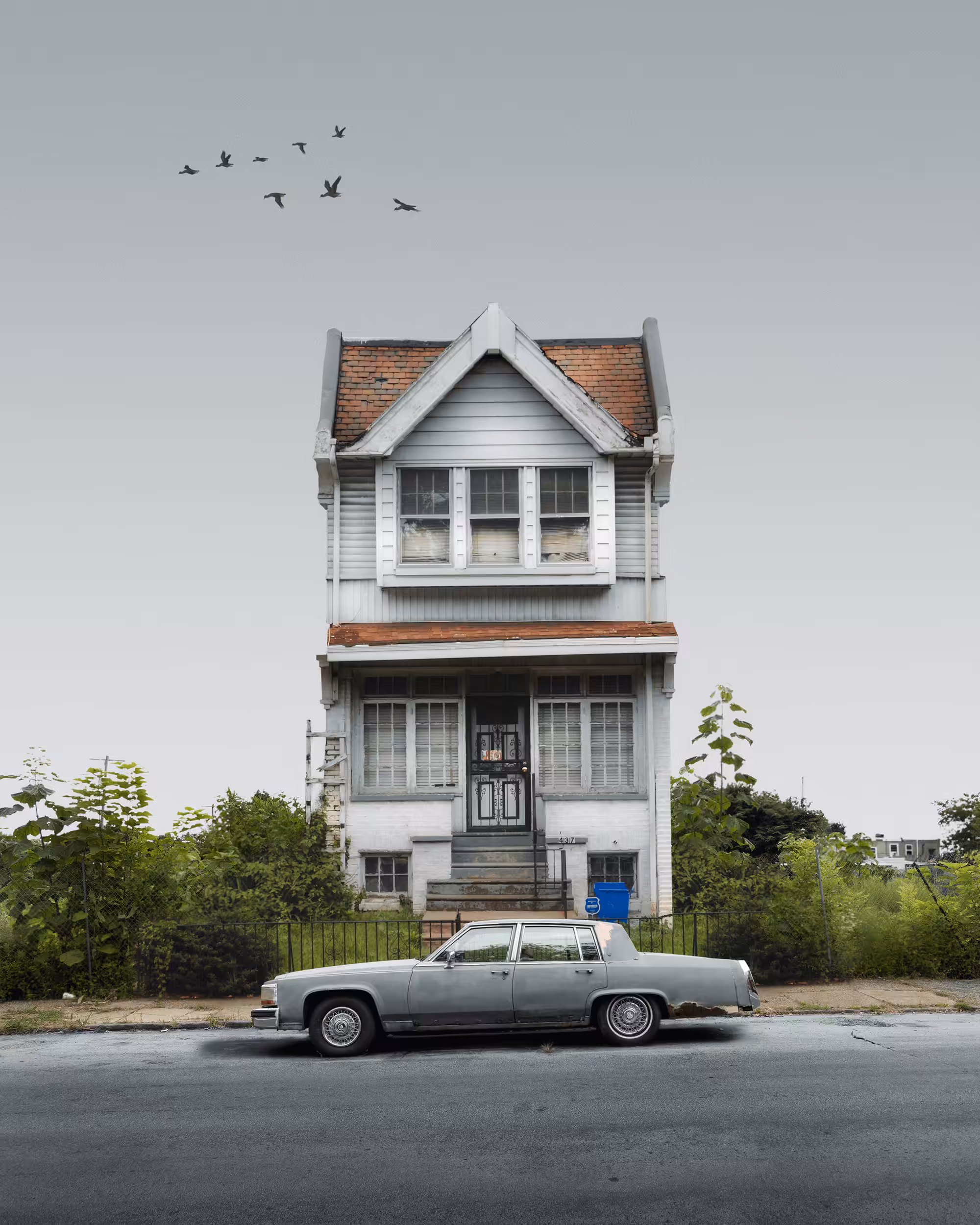 Rowhome #64
