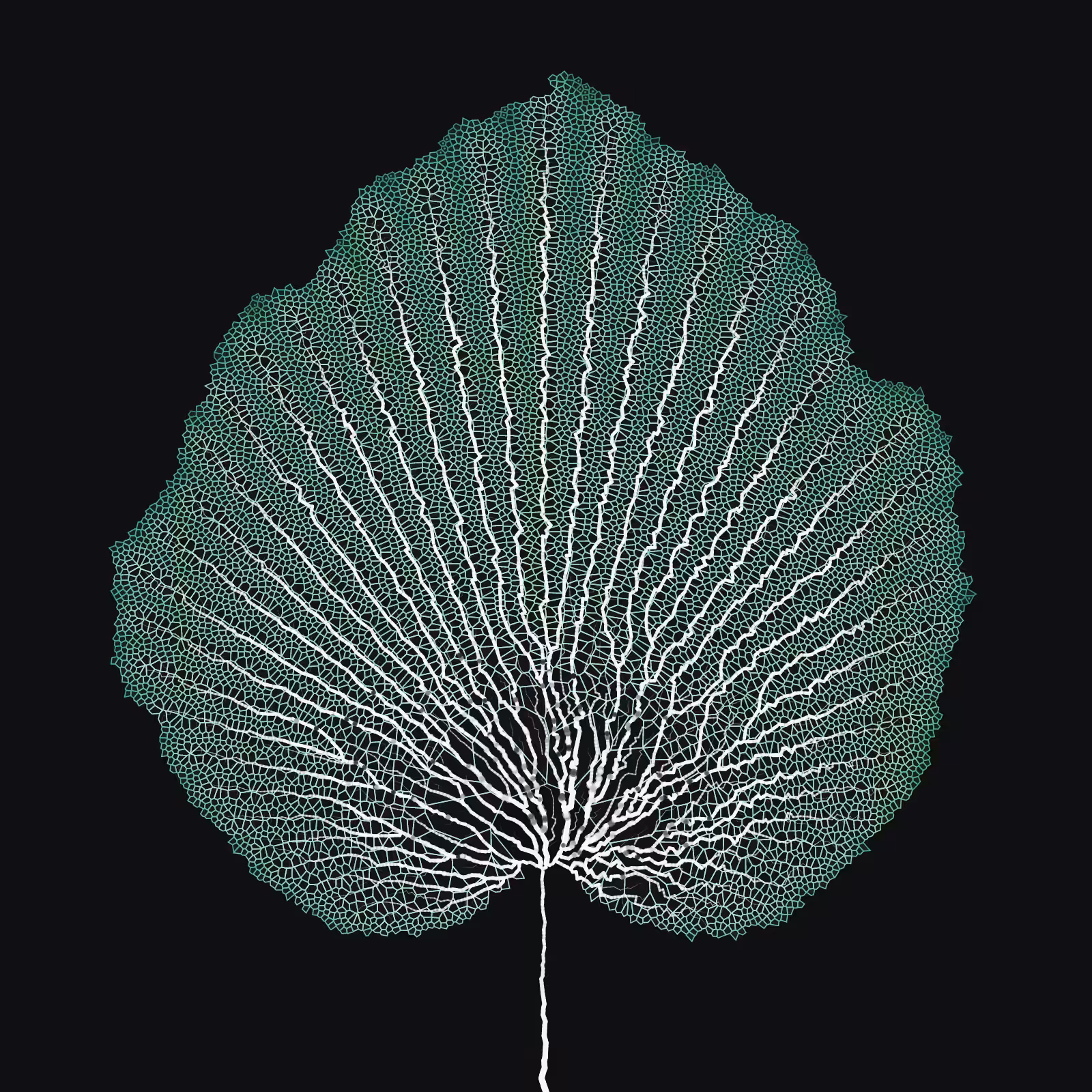 Leaf study #55