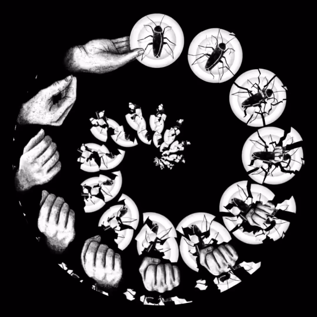 Ruptures / Udinì Live Phenakistiscopes