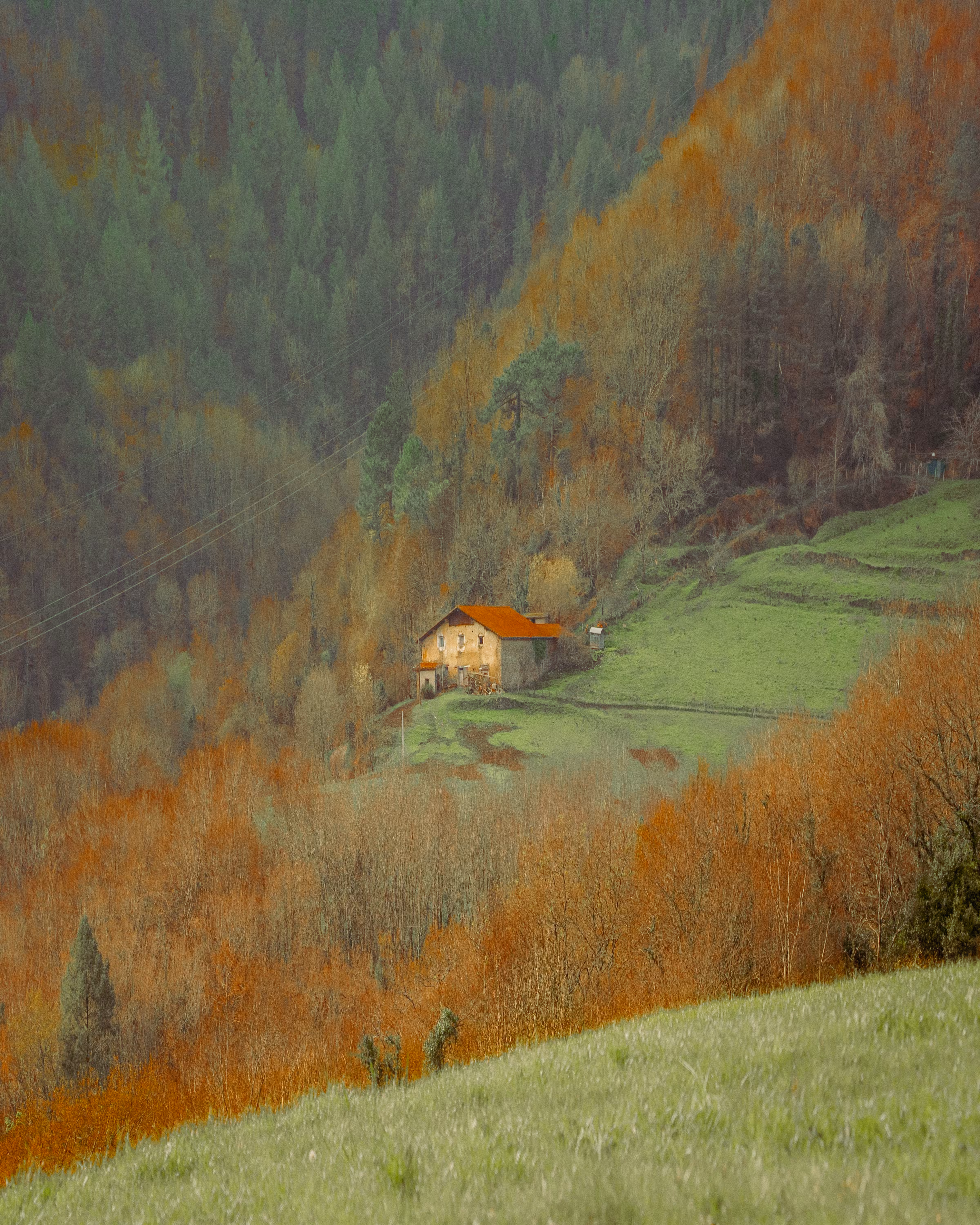 The Home