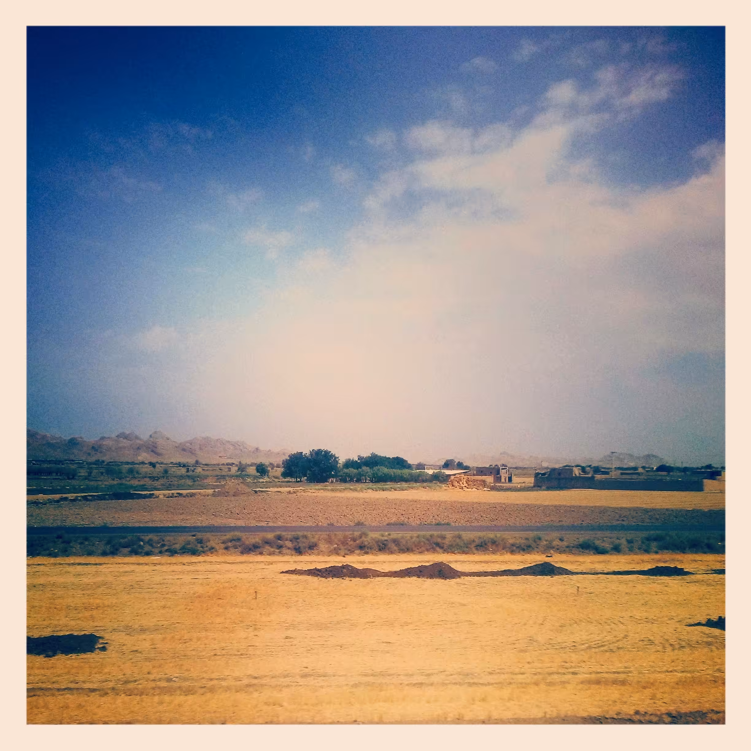 The Oasis