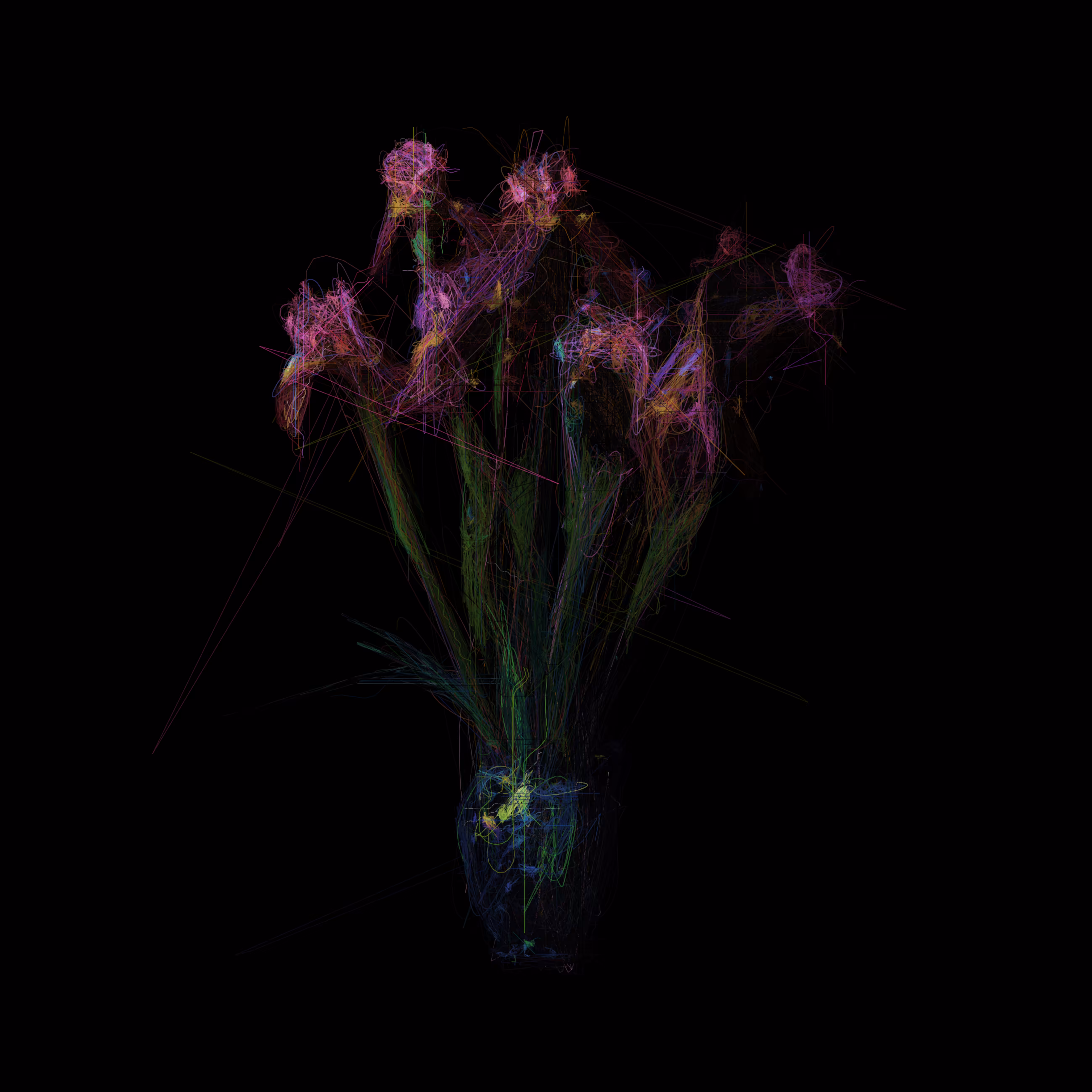 Irises IV