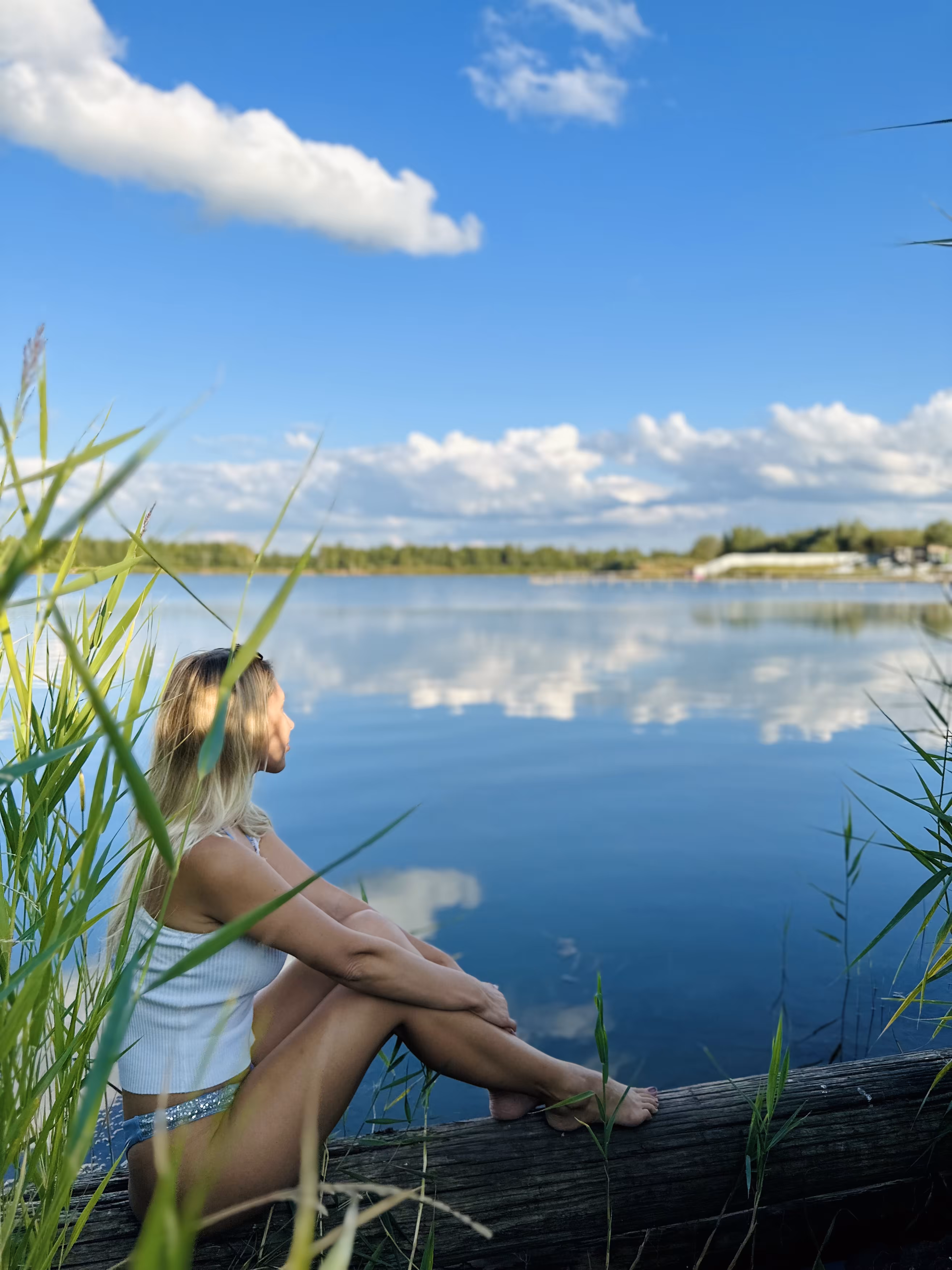 Dear Diary: Pacification