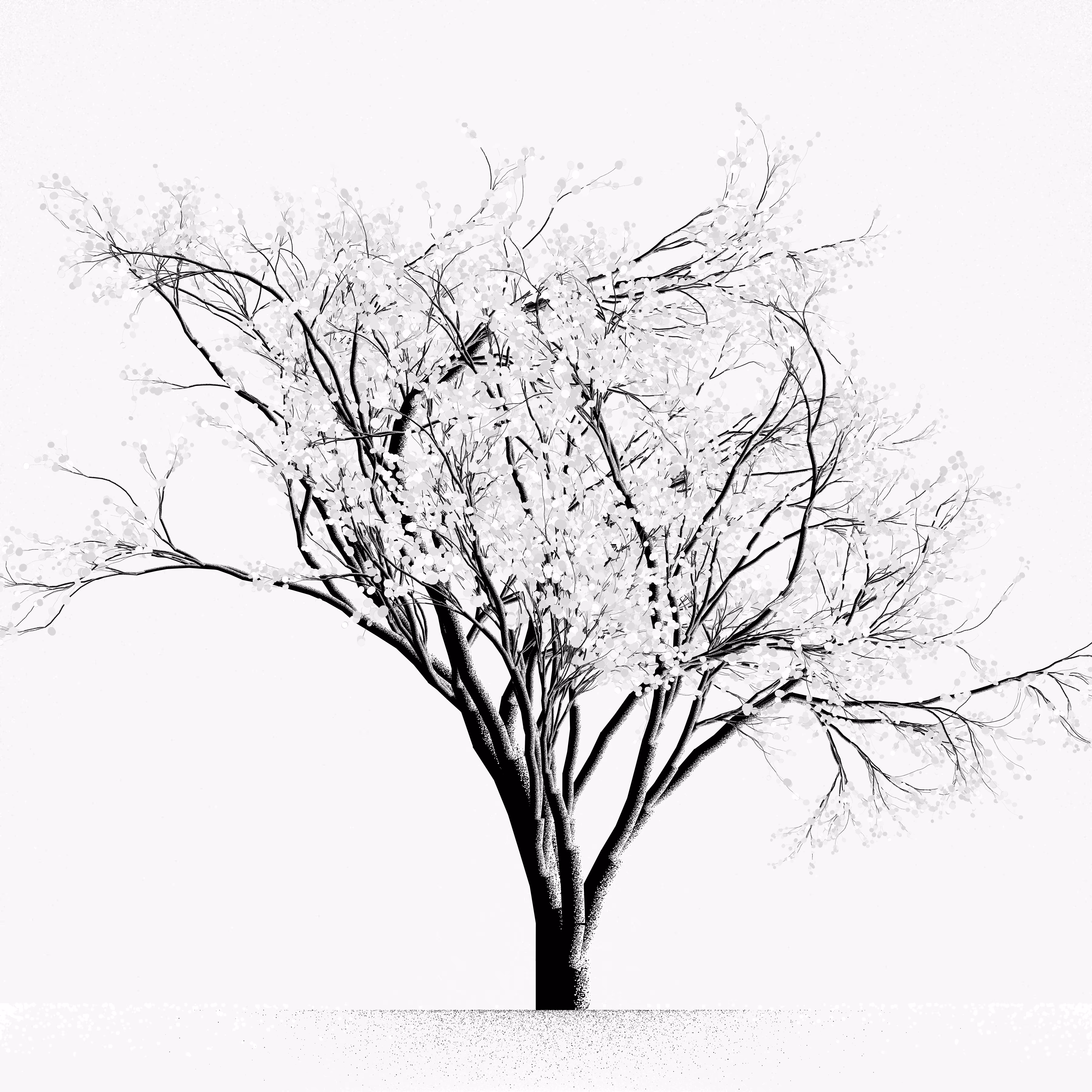 Snow Tree #19