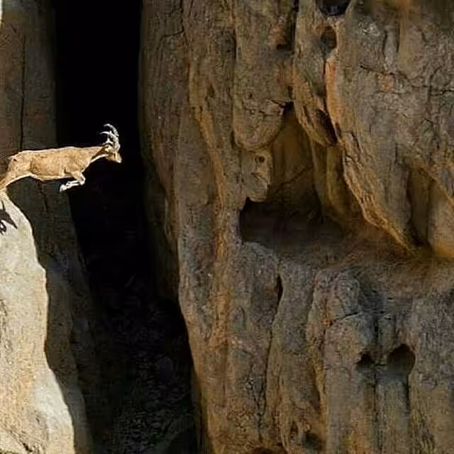 Passion for life