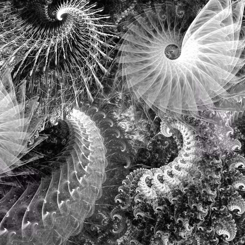 Inner Spiral #30