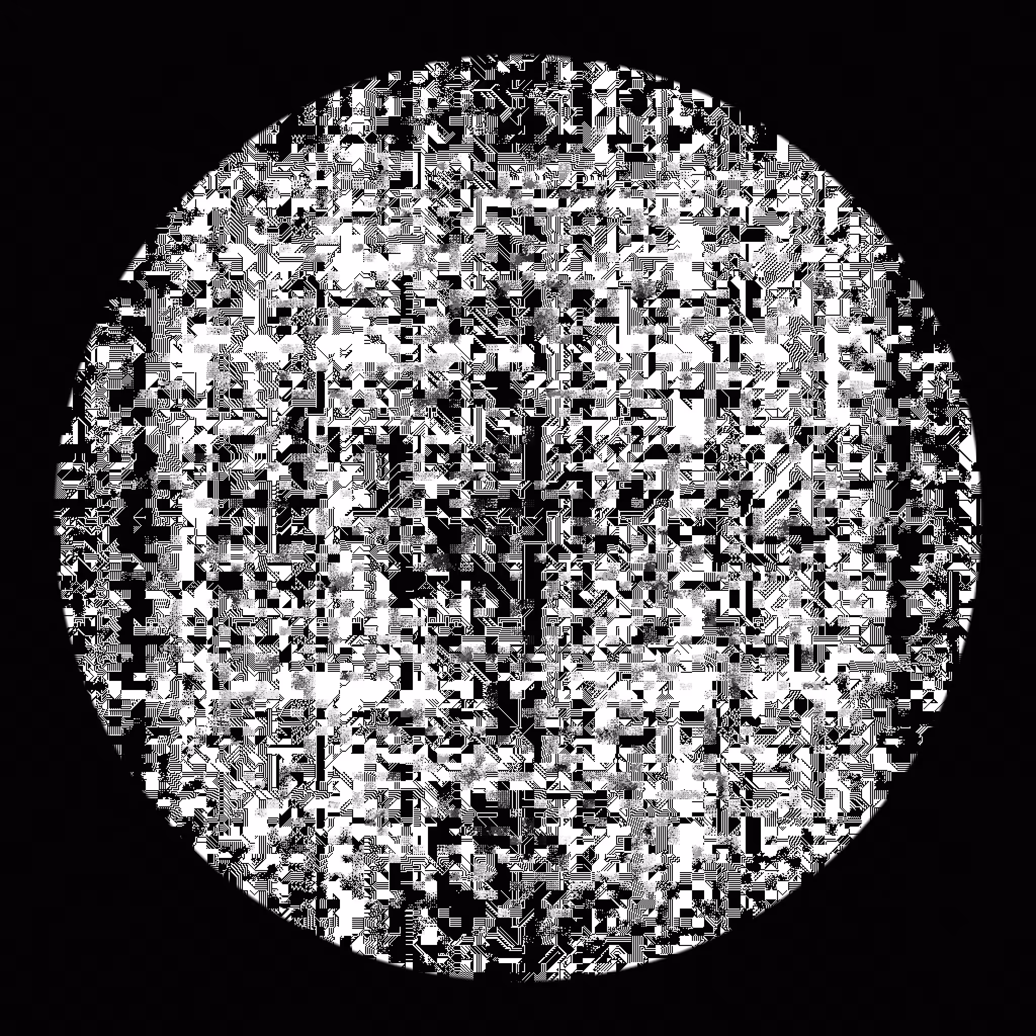 Vacuole #24