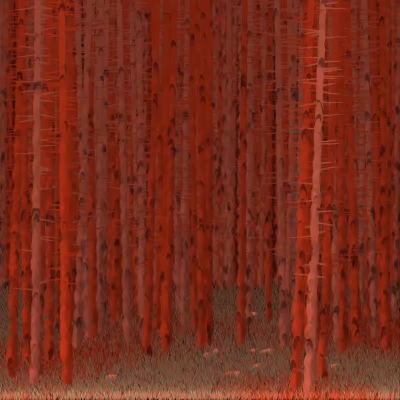 Berkenbos #10