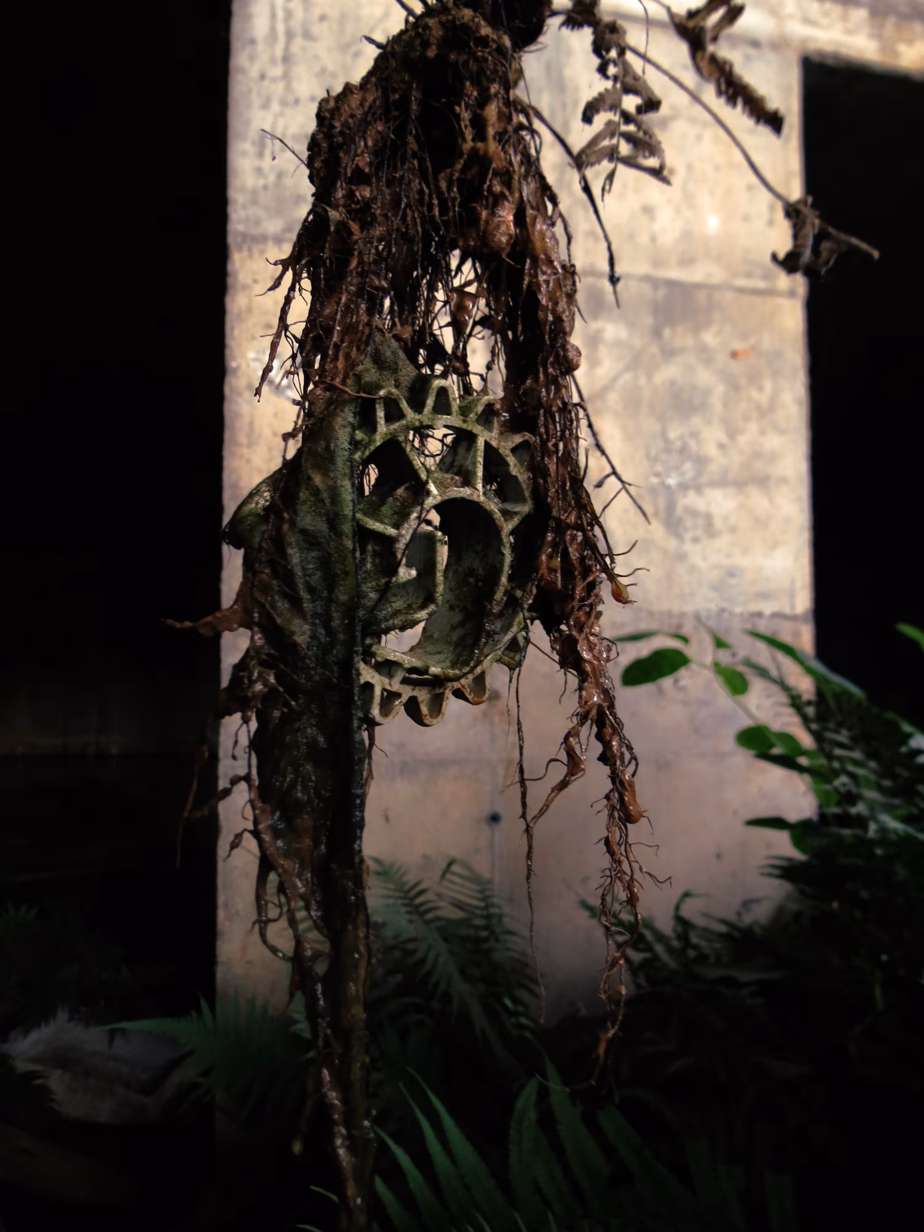 Roots
