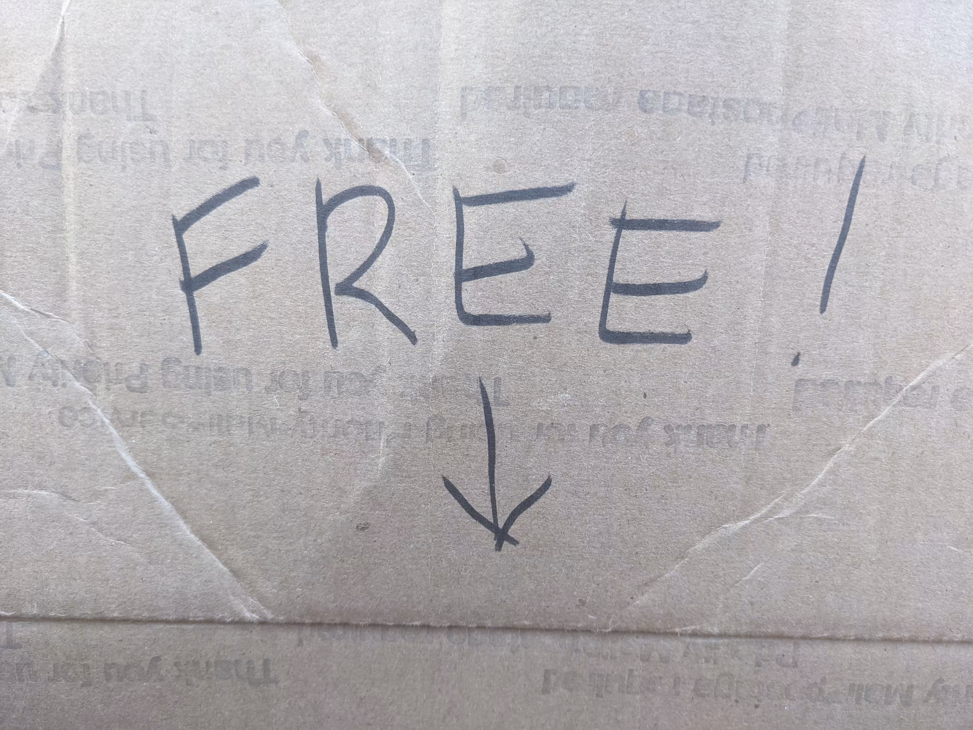 Free11 #5