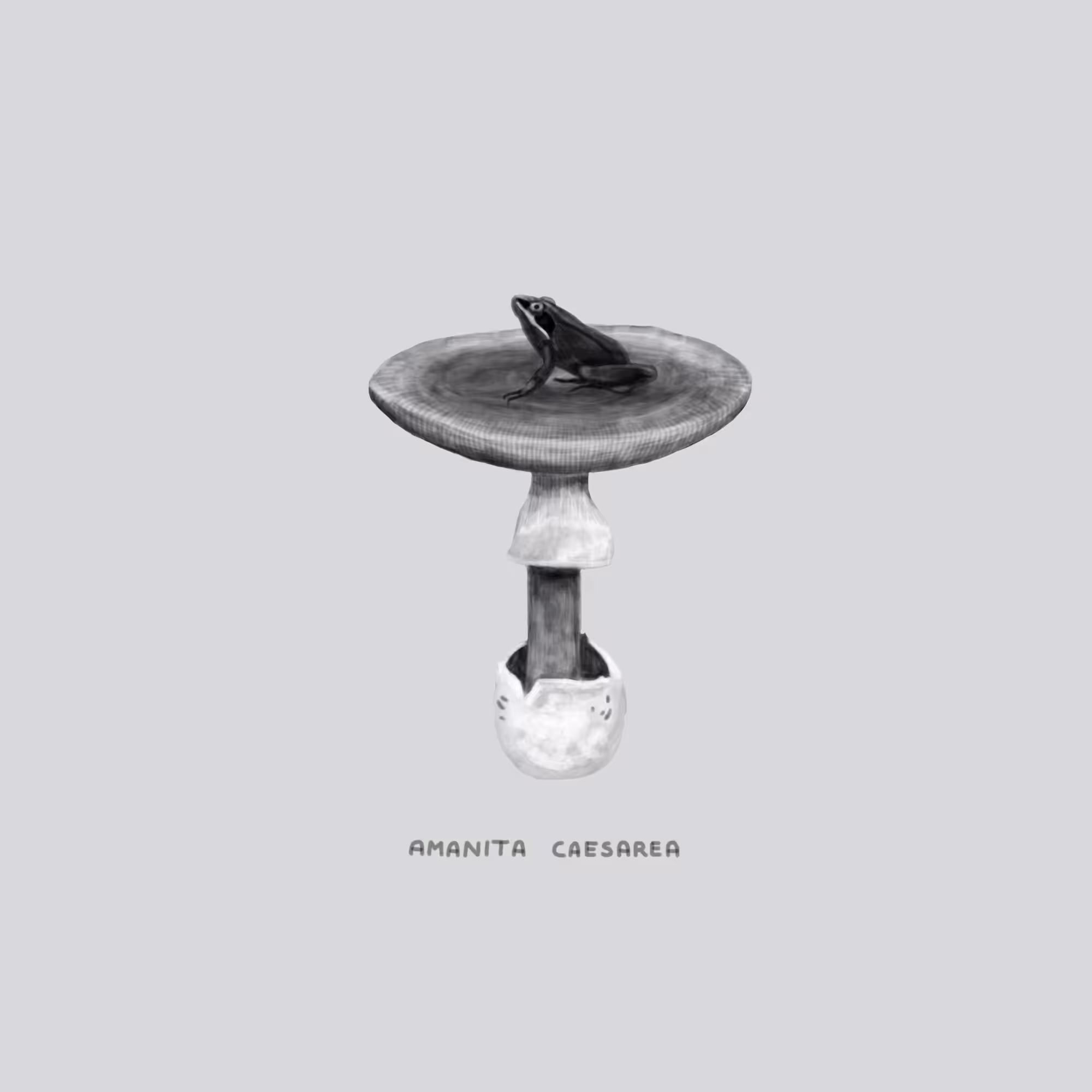 #29 SHOES - Amanita Caesarea