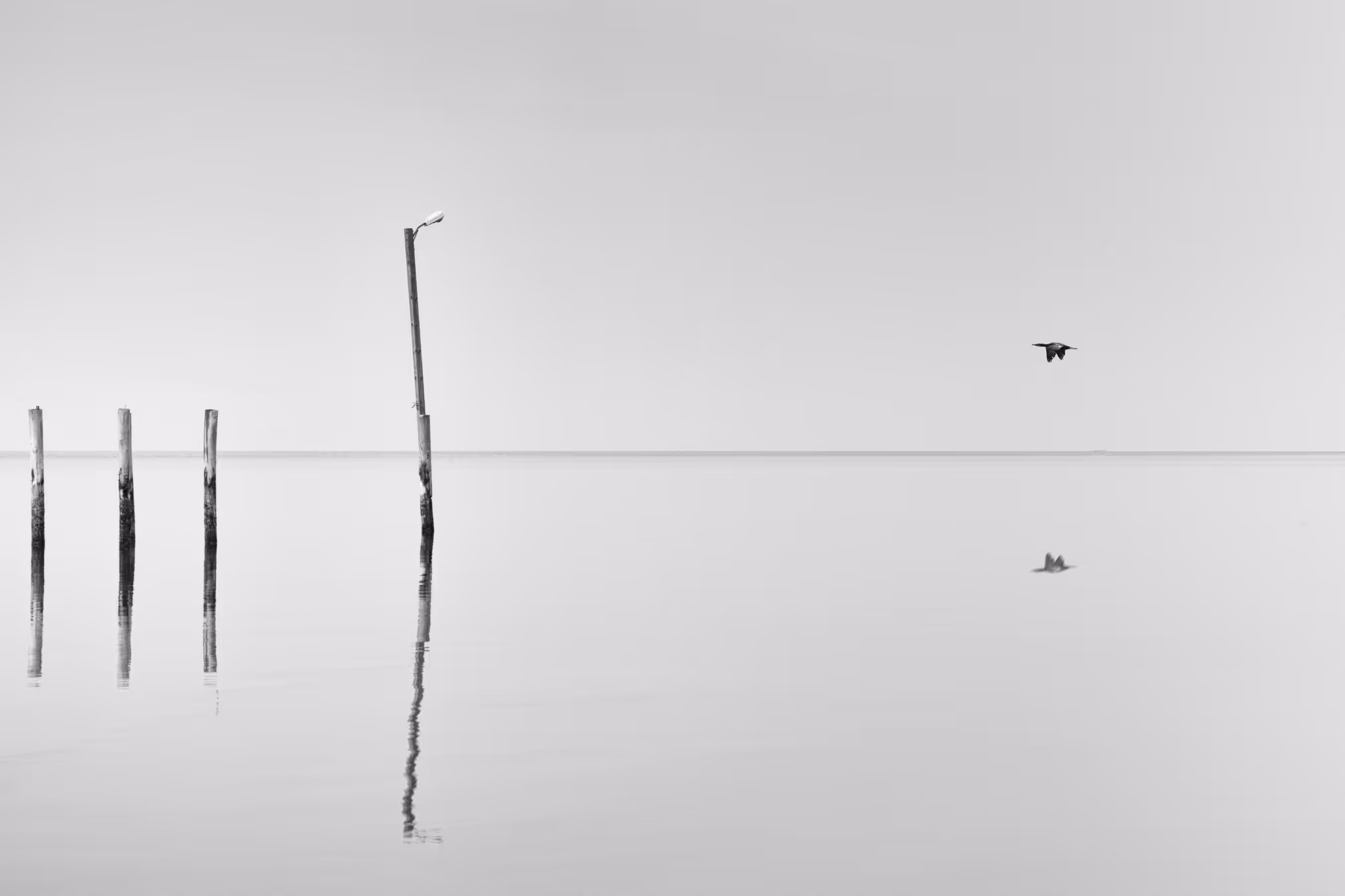 Alone