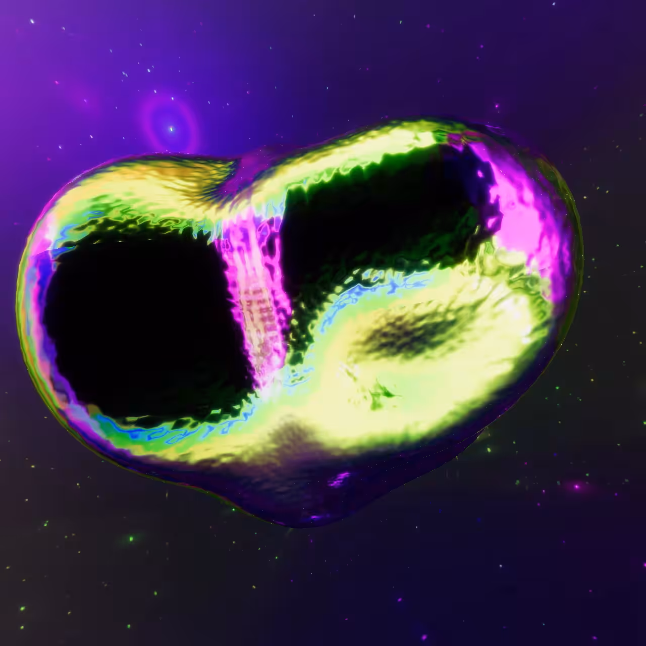 Avocardinum