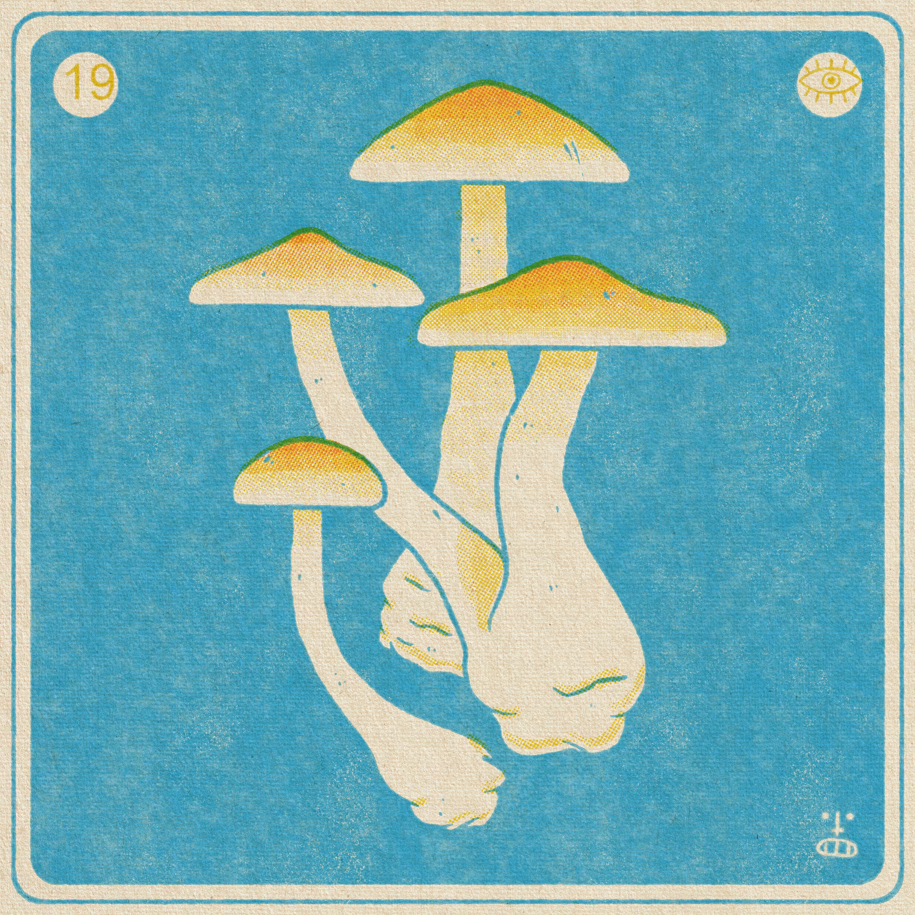 19- Psilocybe cubensis (The Golden Teacher)