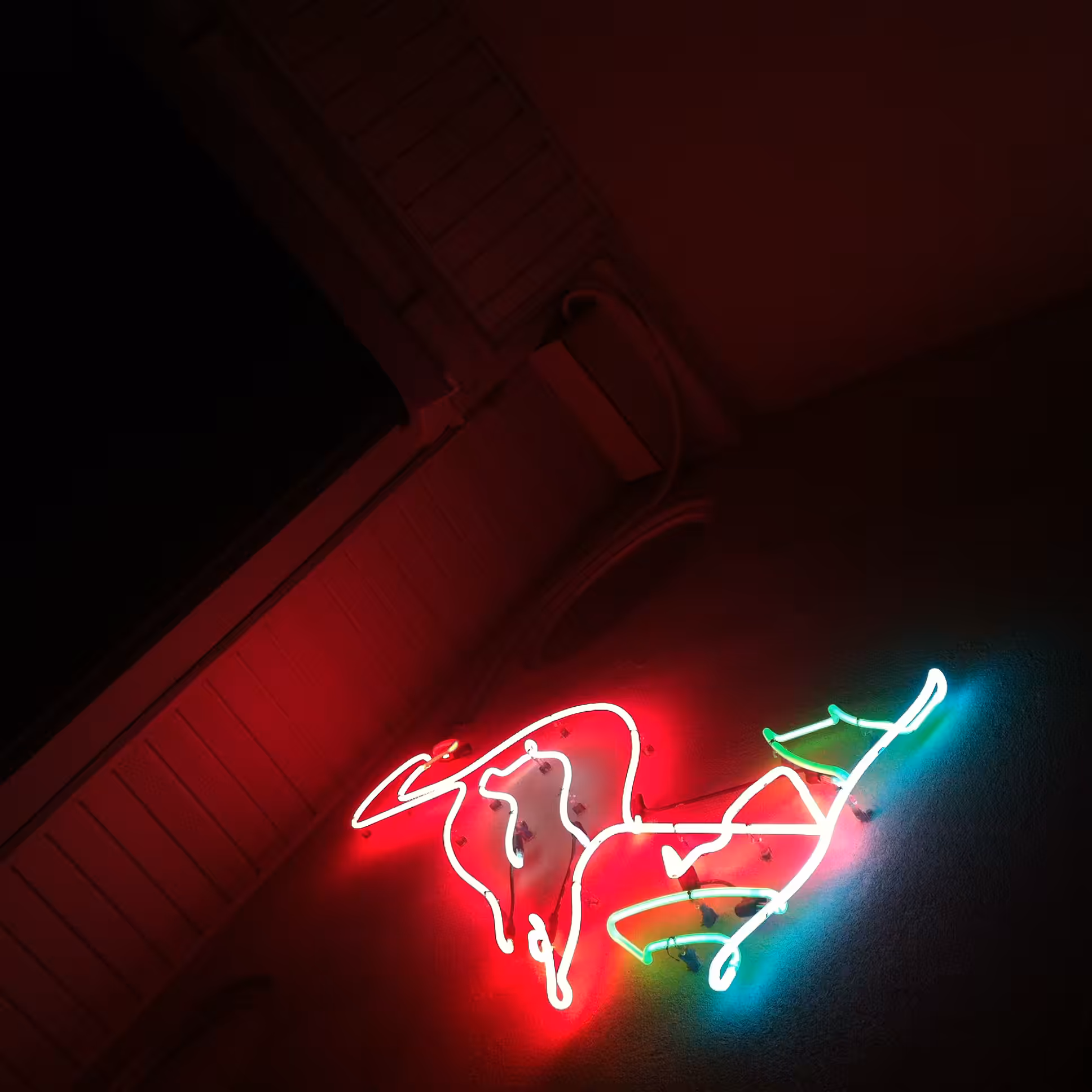 neonmingo.jpeg