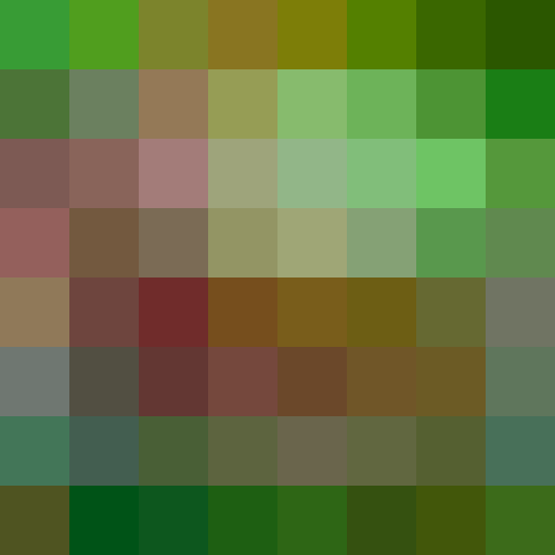 Self_Portrait_001.mp4