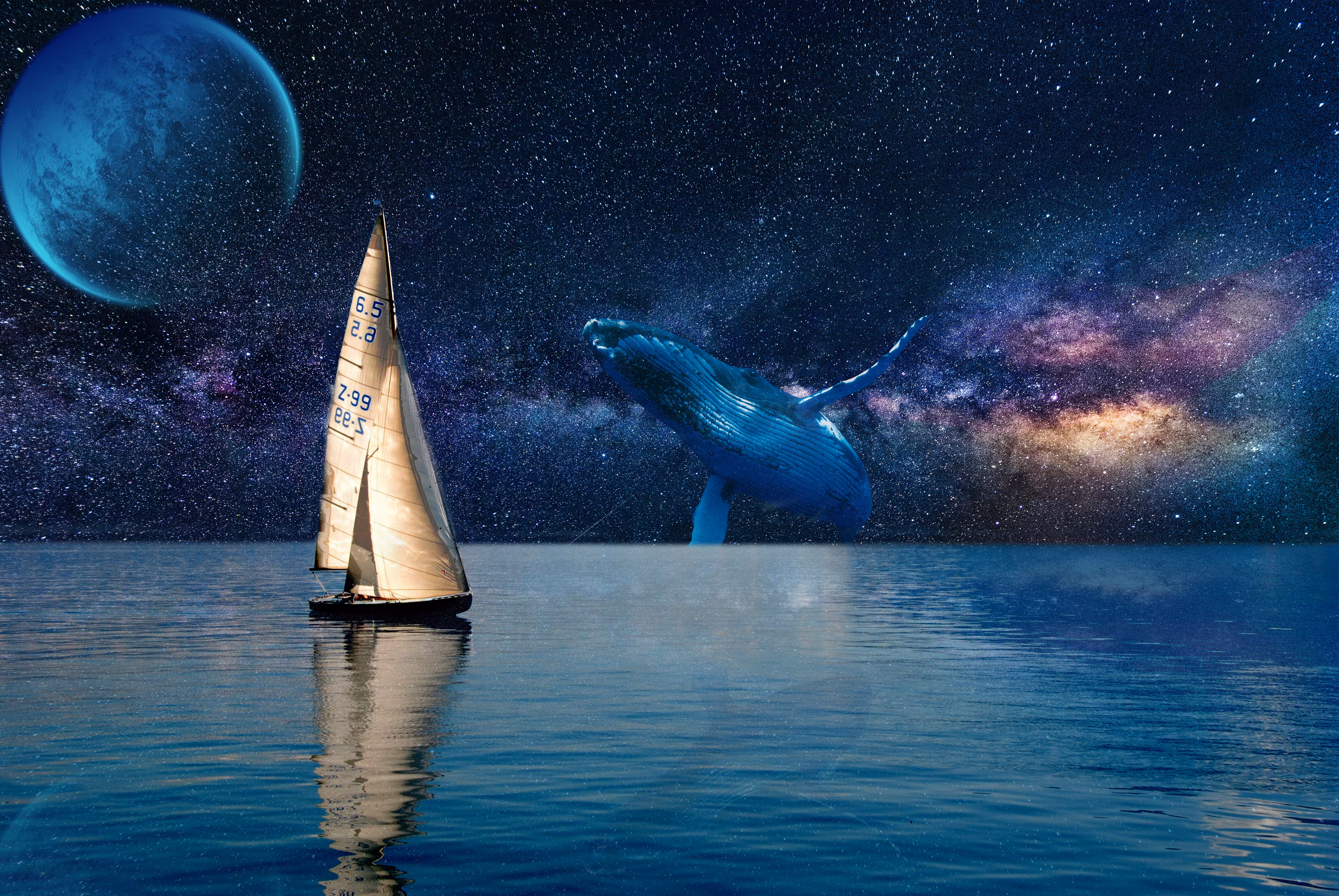 Dreamlike: #01