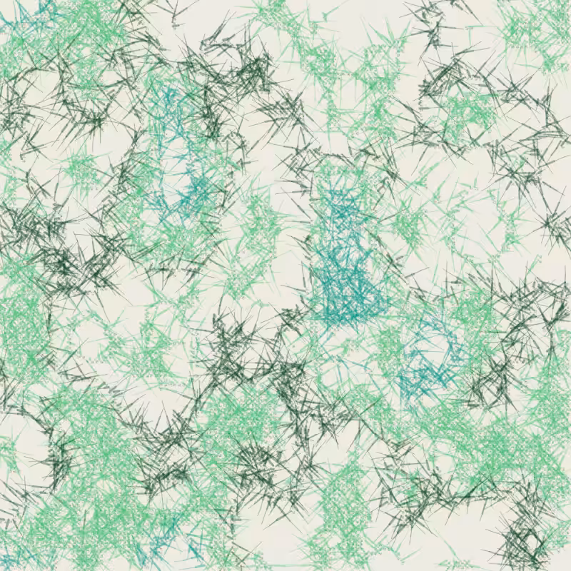 Petri 1500 #78