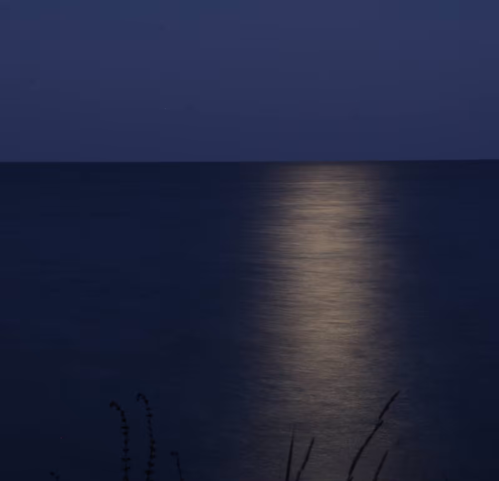 The Black Sea