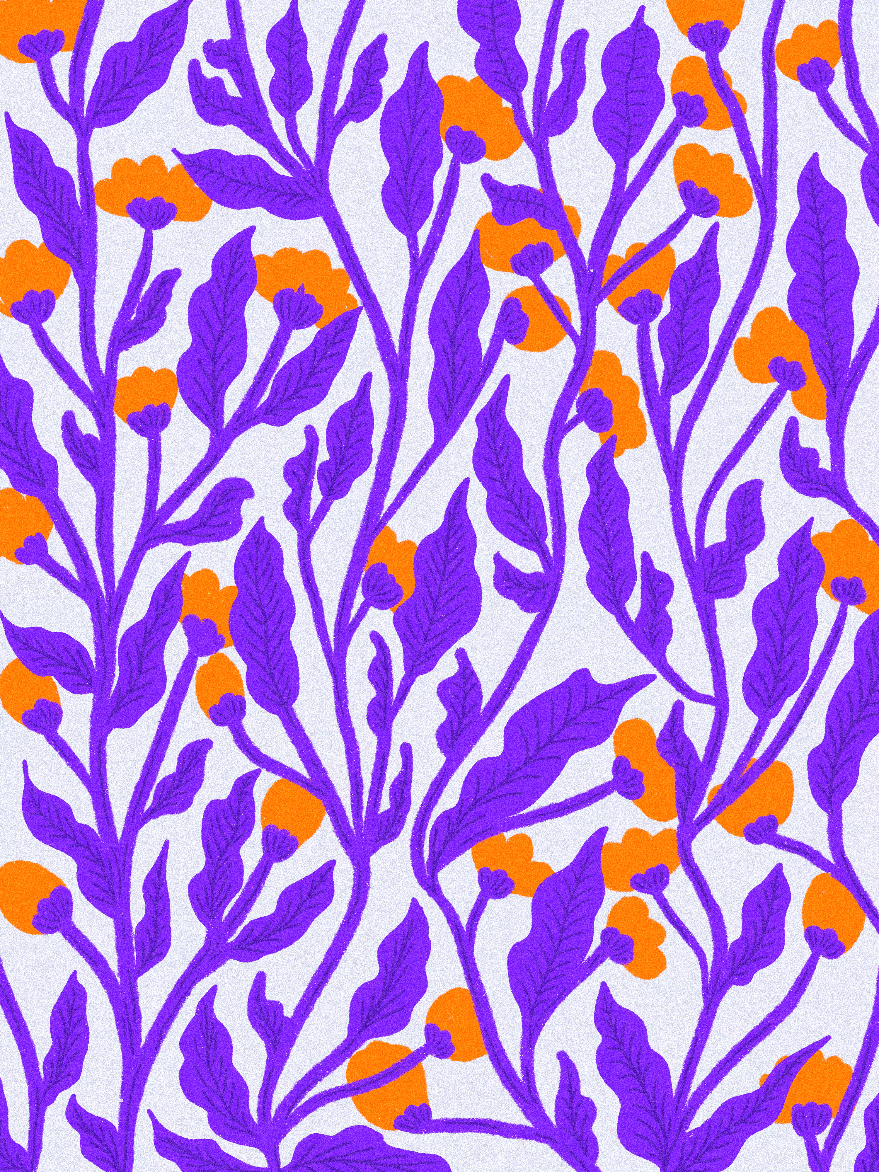 Tonic Hibiscus : Orange 