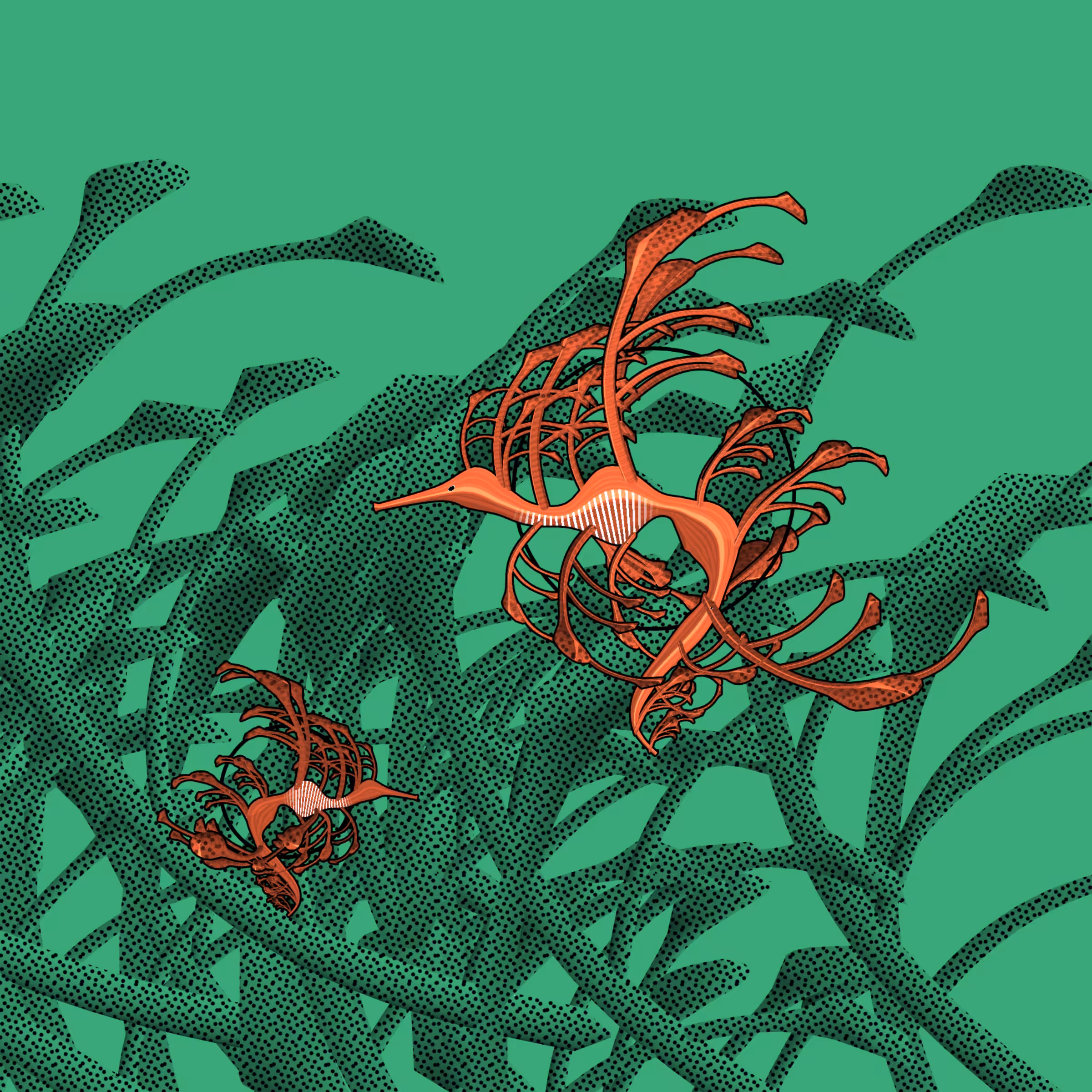 Seadragons #42