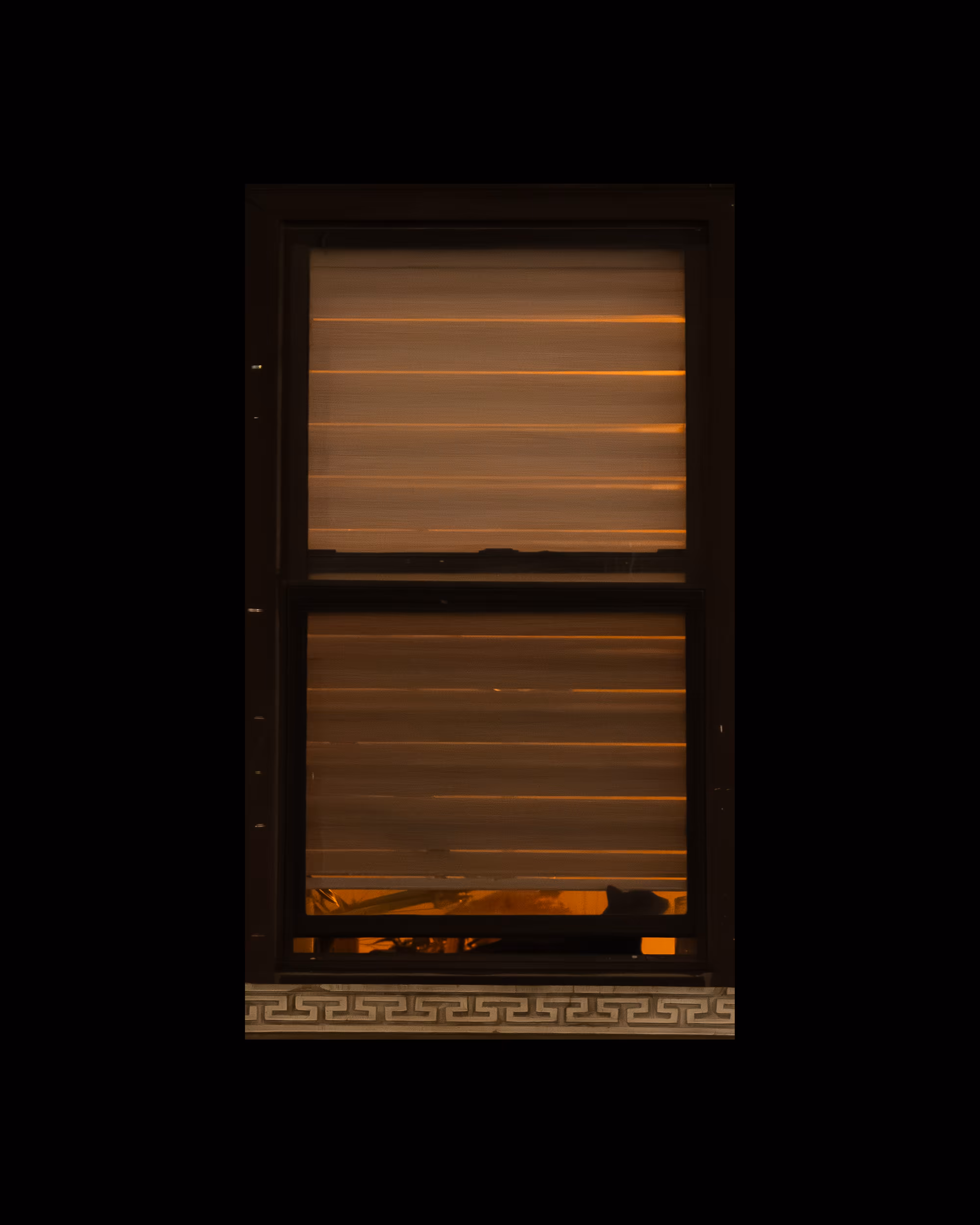 WINDOW 358