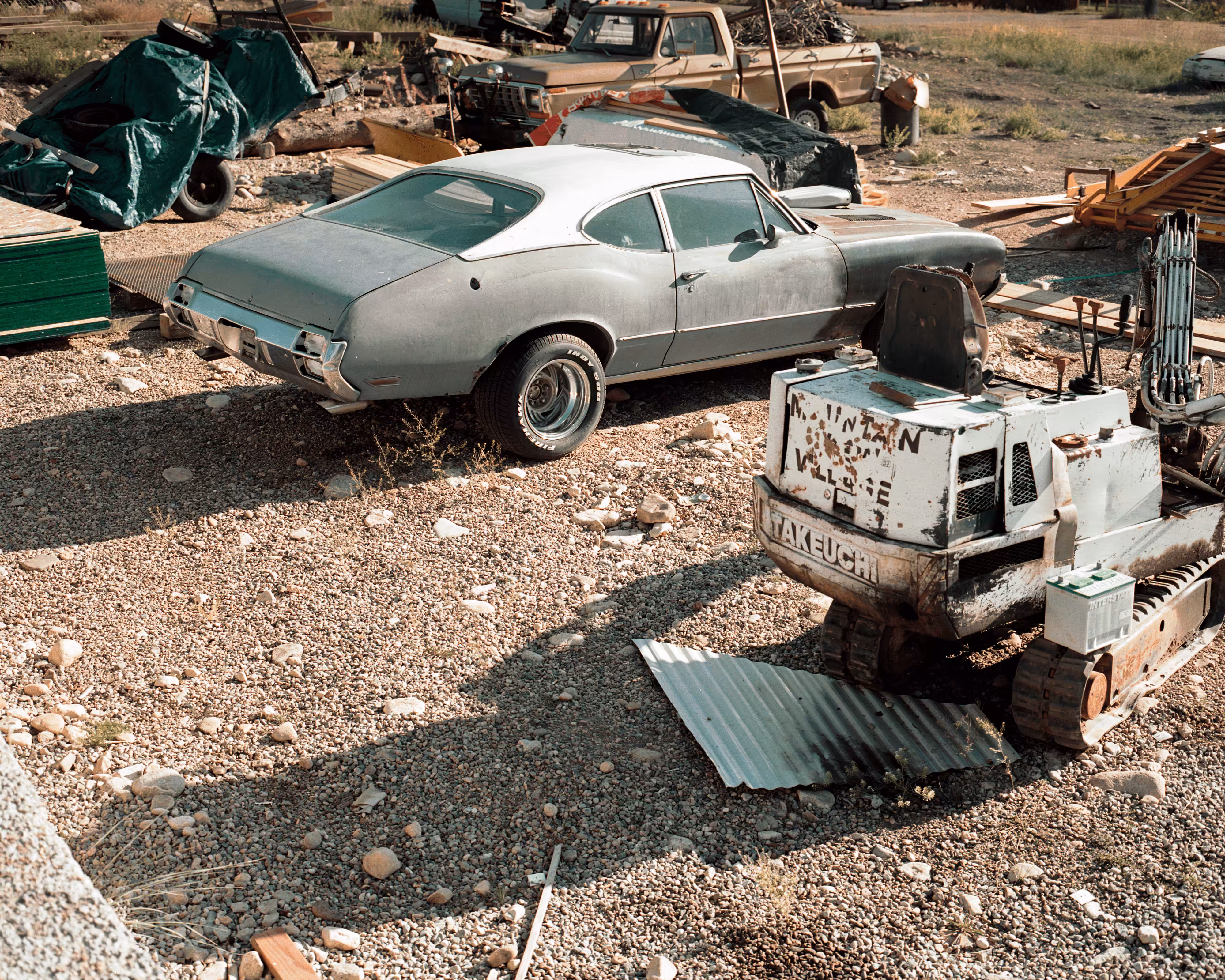 Hidden In Plain Sight #051. Junkyard Dog