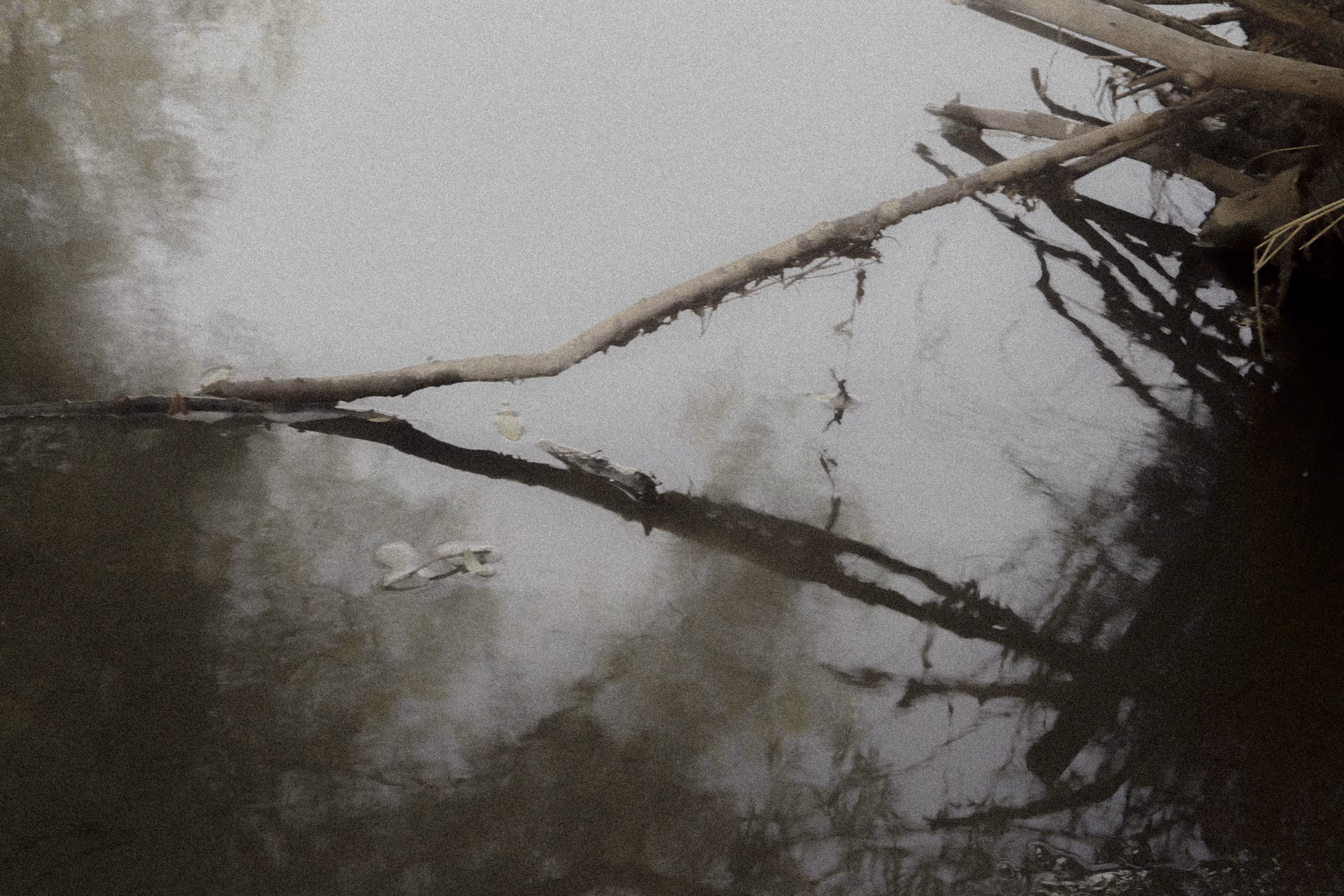 Fluid