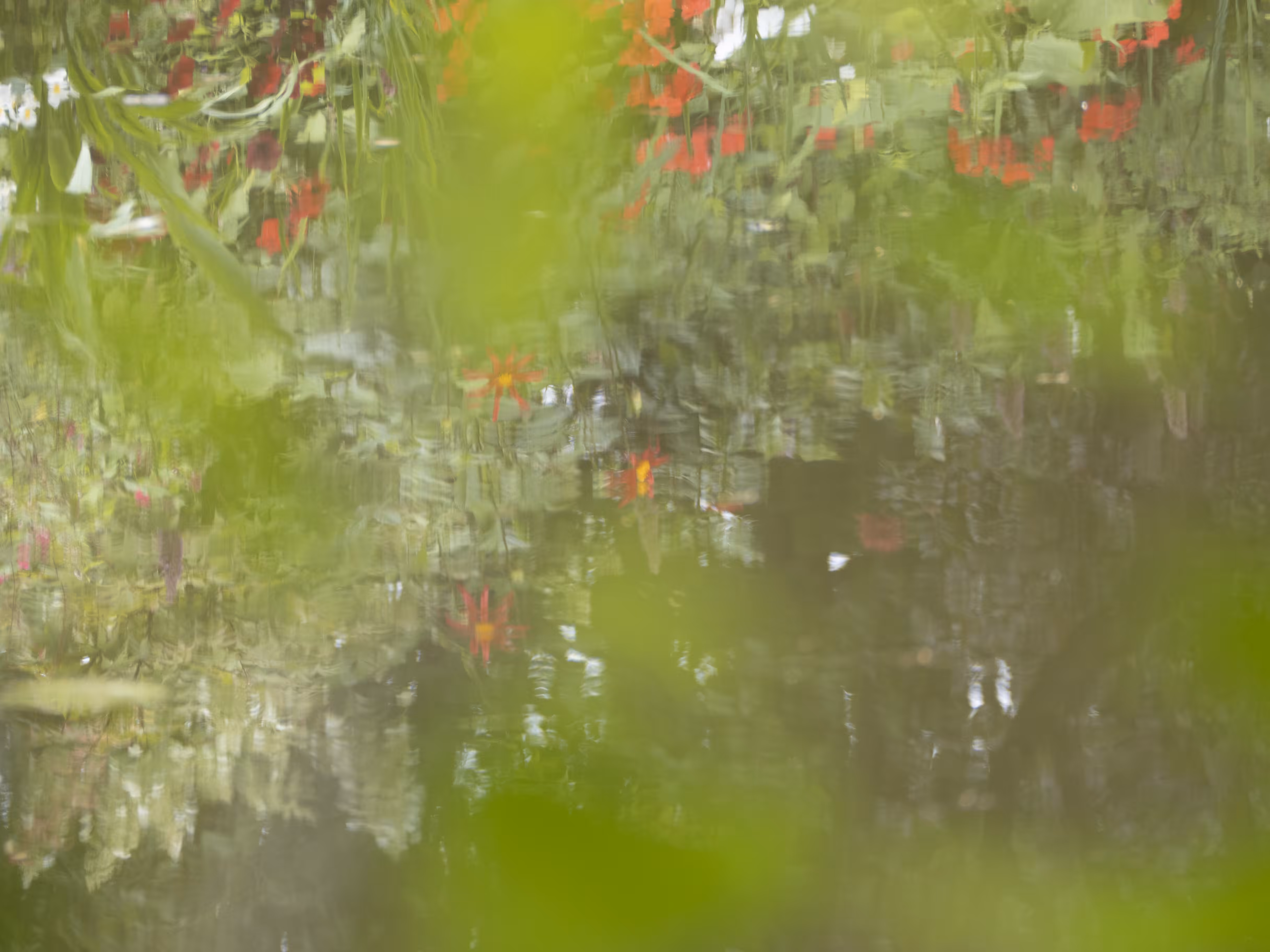 Giverny #21