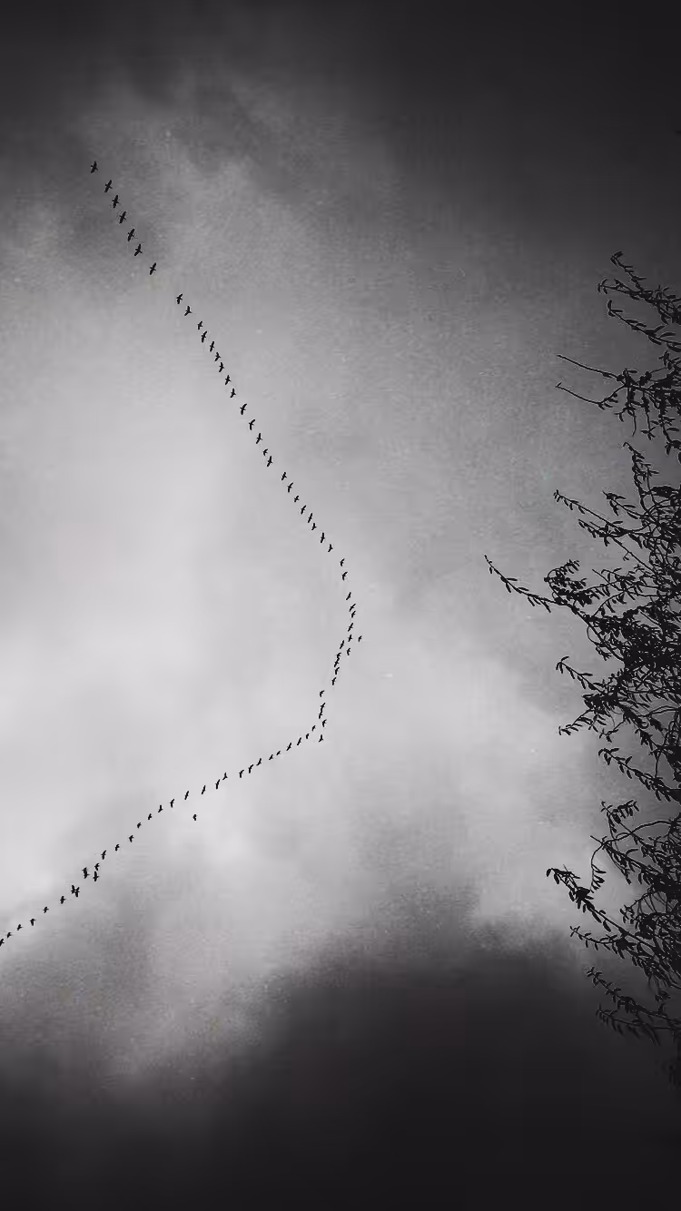 Migrate