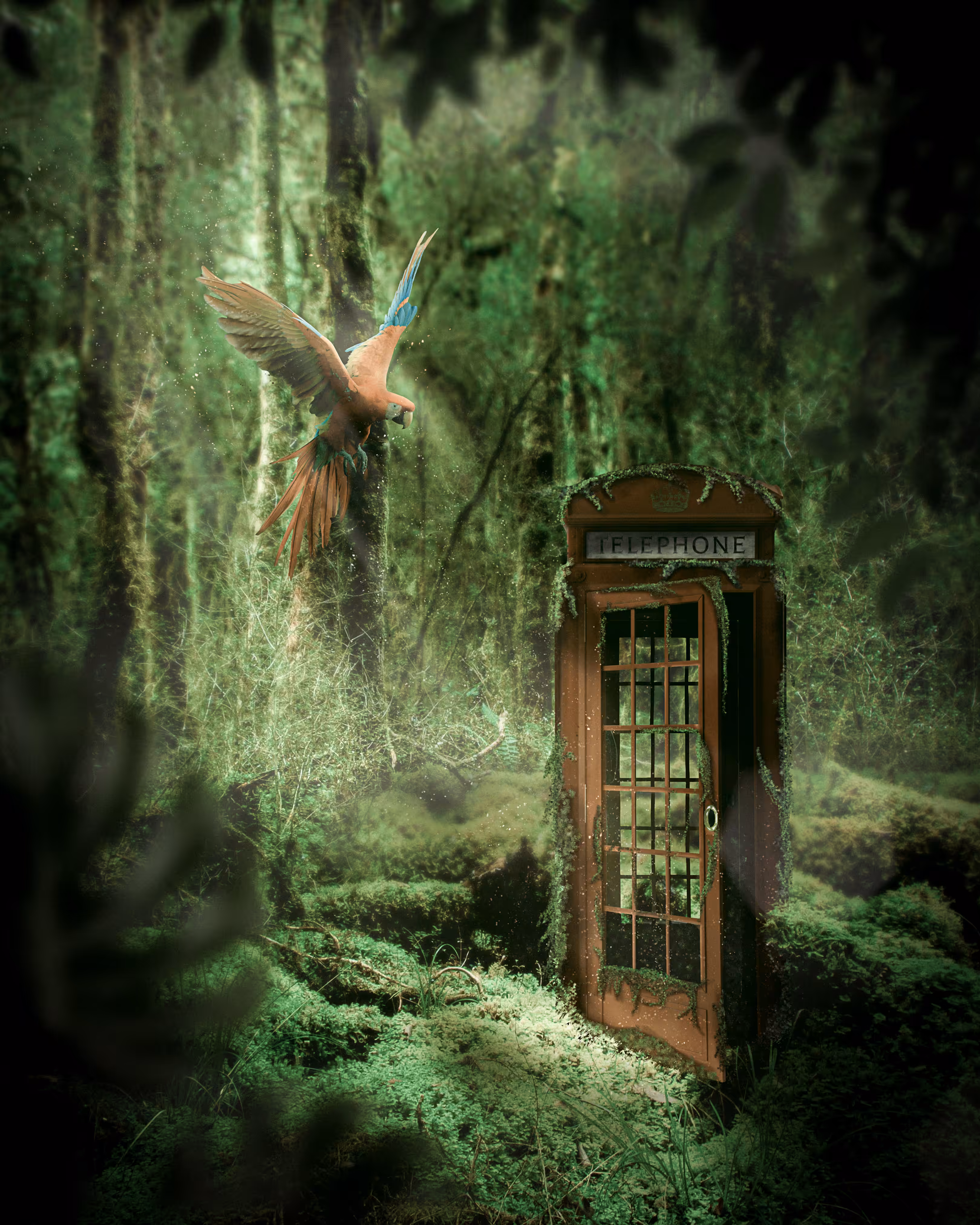 "The jungle Call"