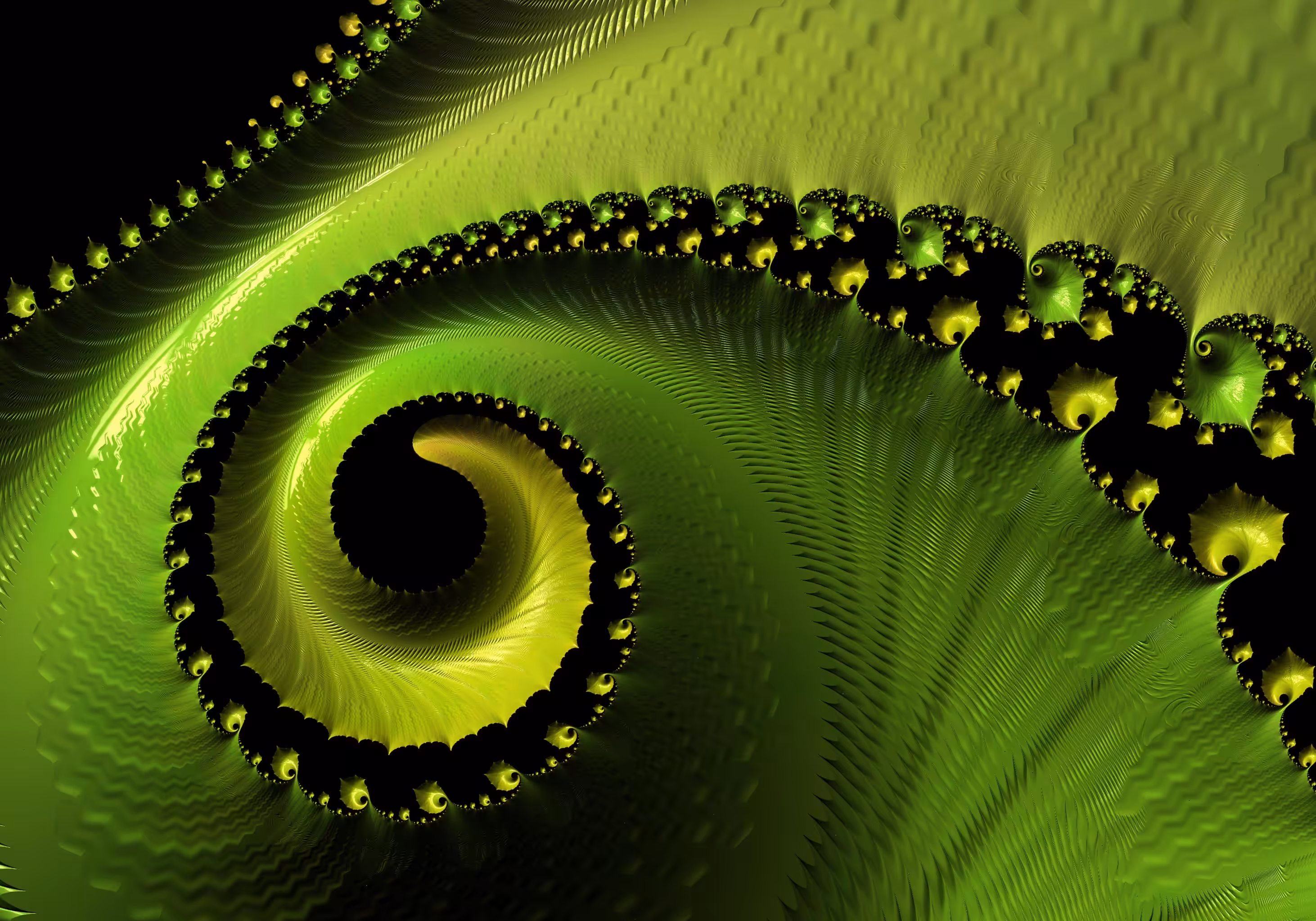 Fractal - Uncle Fern