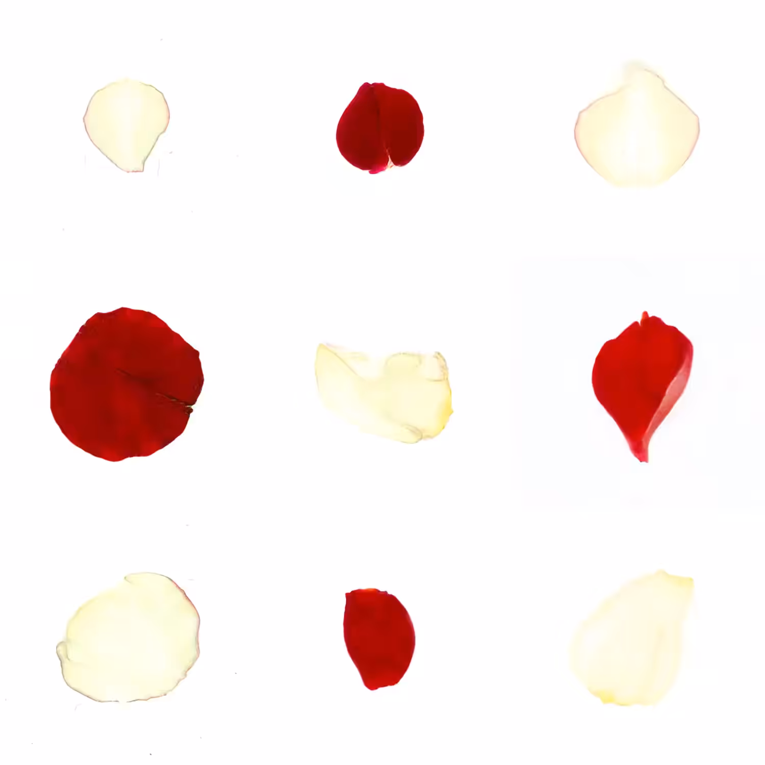 Infinite Petals 3x3#1989