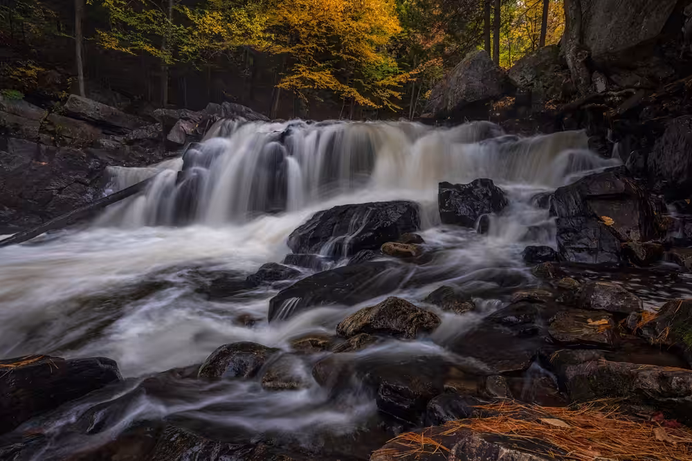 Brook's Falls