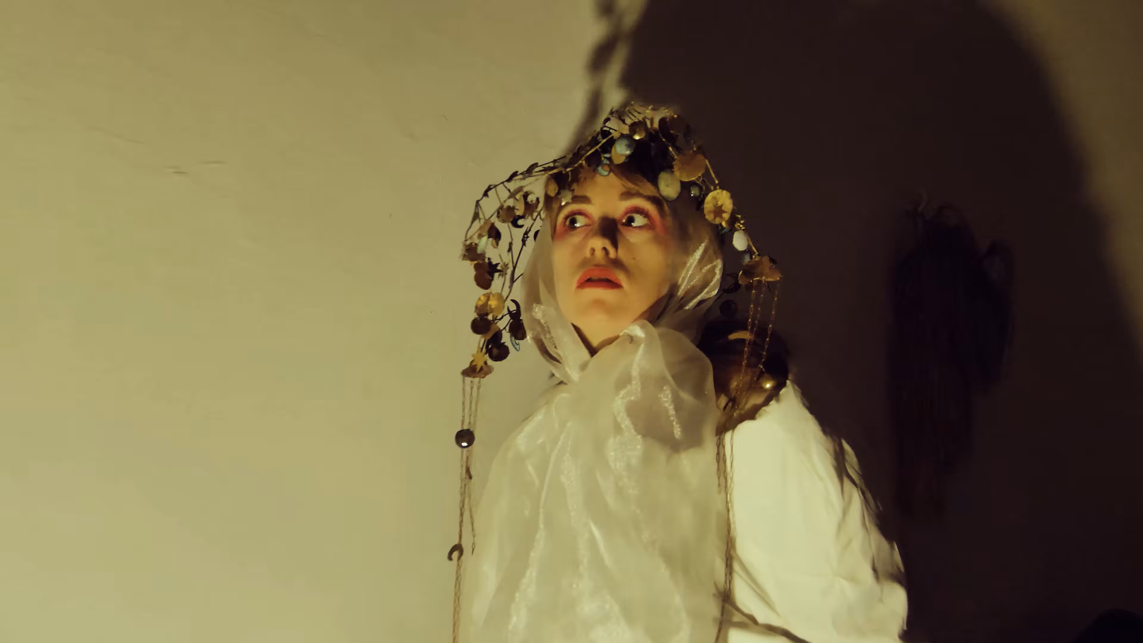 LES FLEURS DU MAL