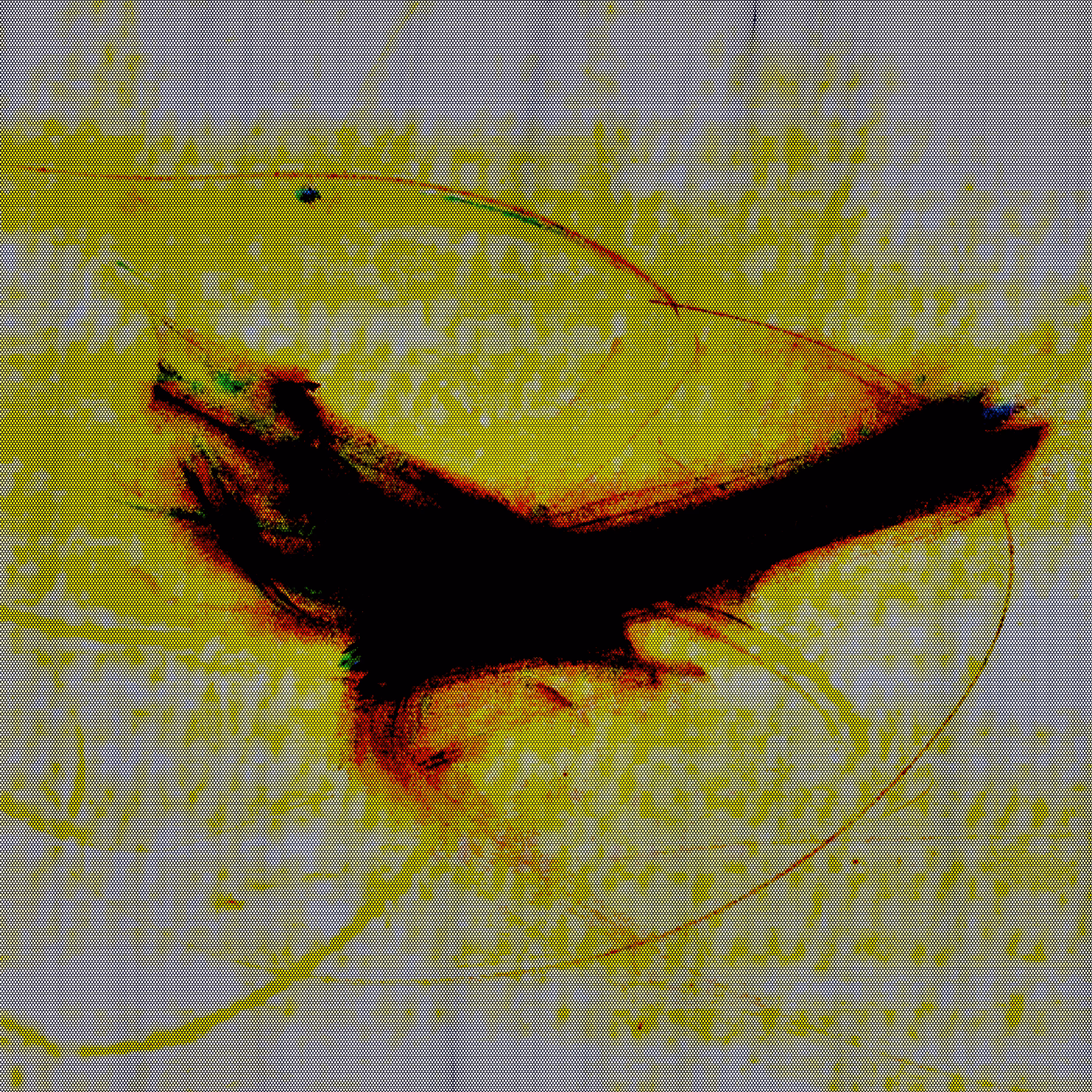 Abstract Emotion